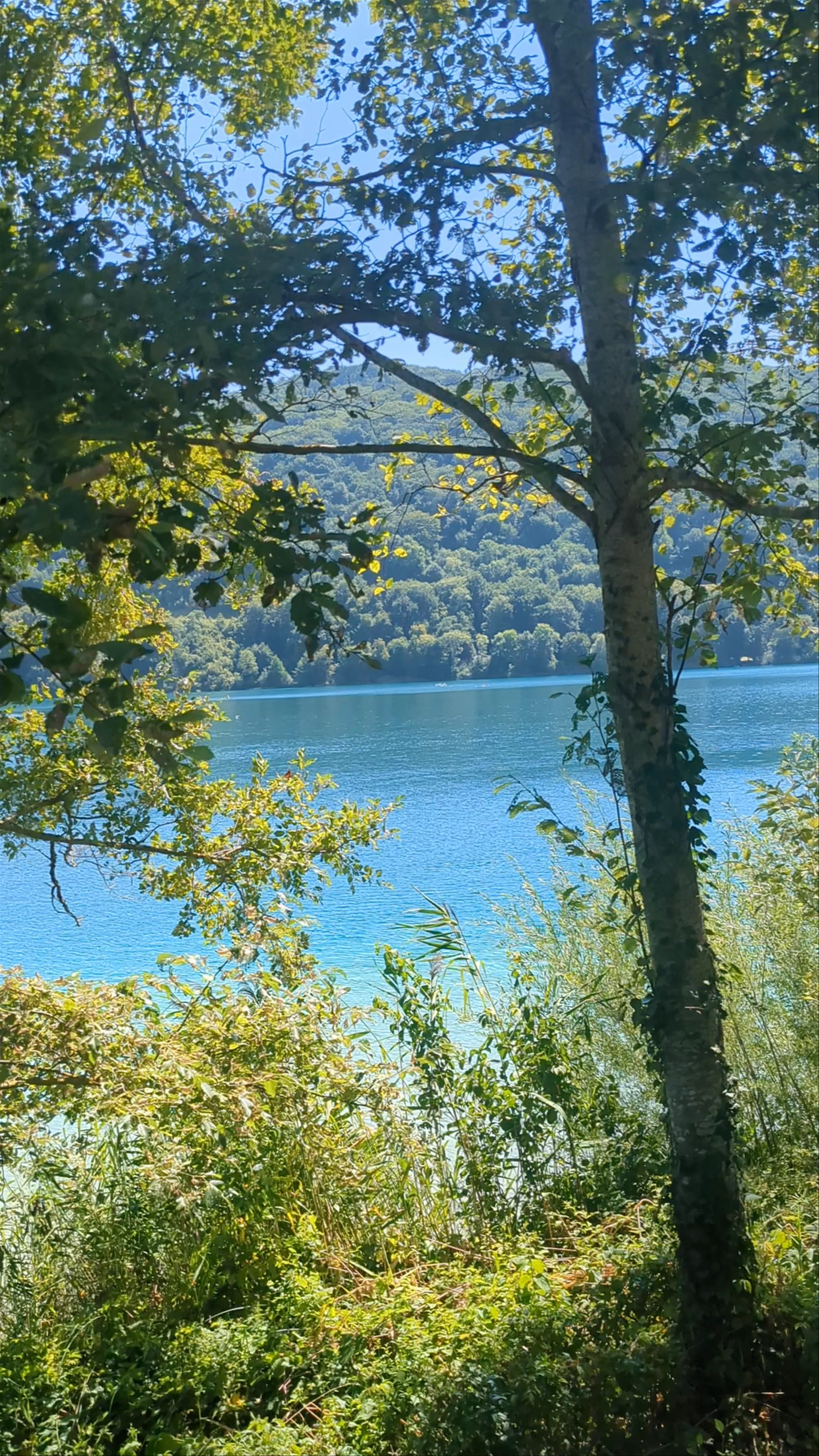 Lac de Paladru