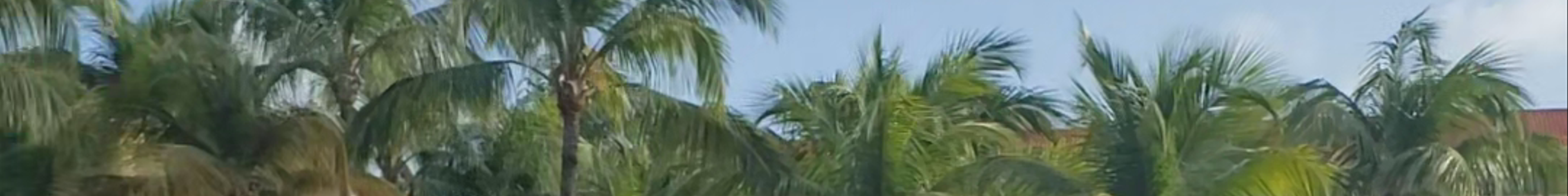 Tours & experiences in Aruba