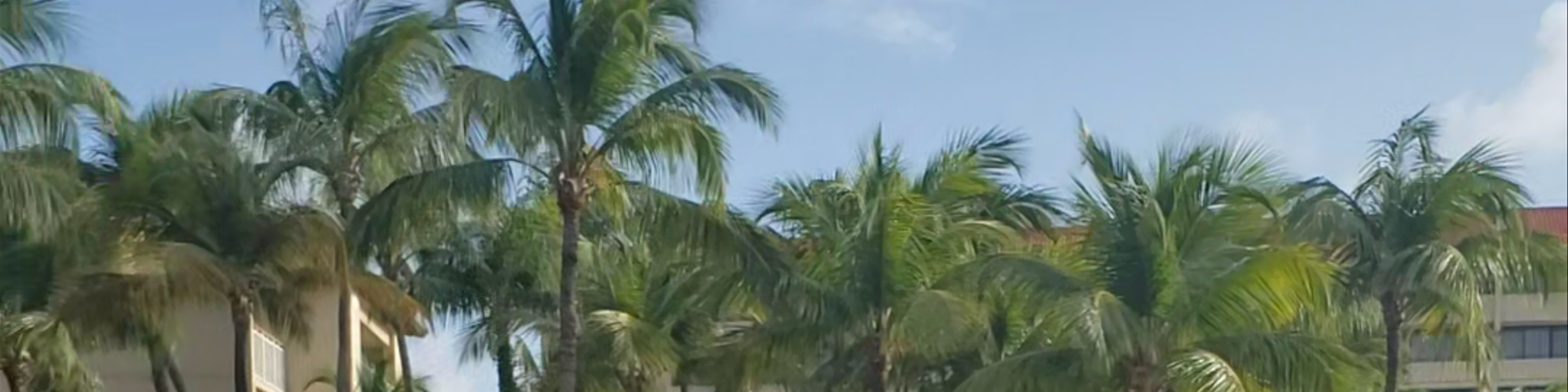 Aruba