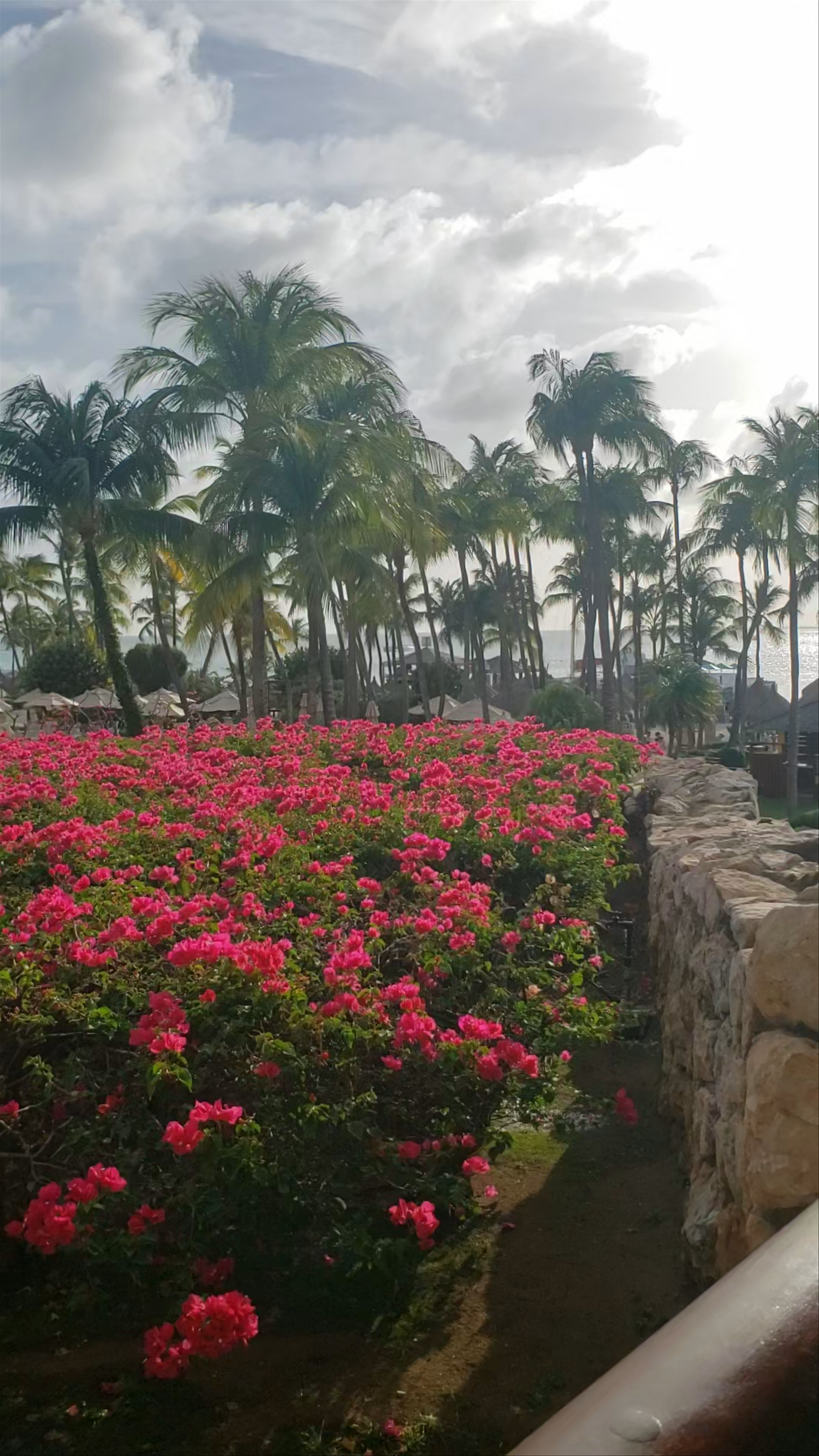 Hyatt Regency Aruba Resort & Casino