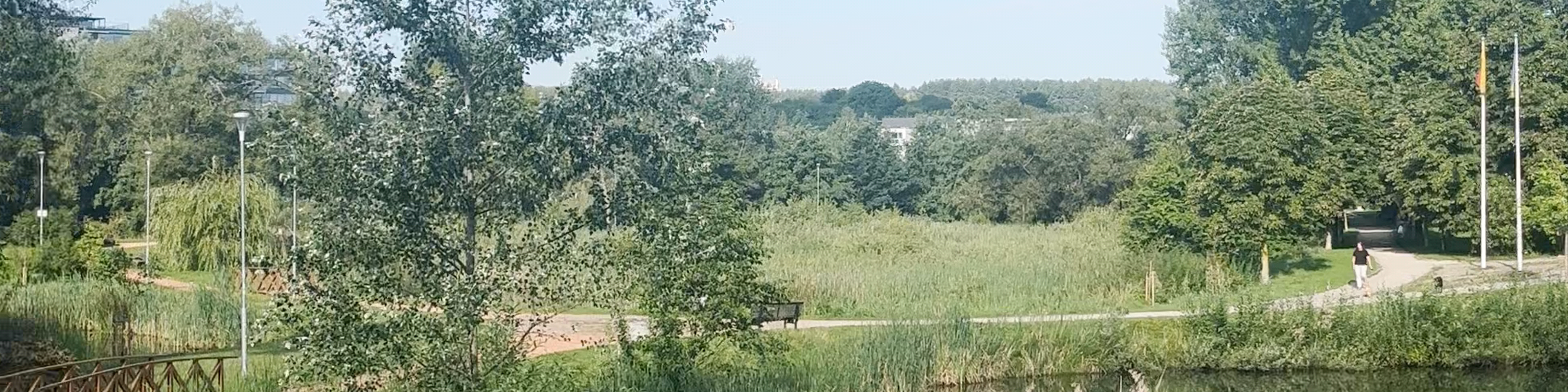 Vilniaus
