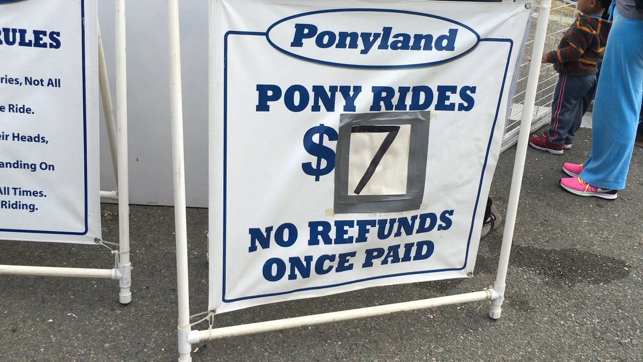 Solano Stroll - Solano stroll - 9/11/16 - pony rides - Festivals Near Me