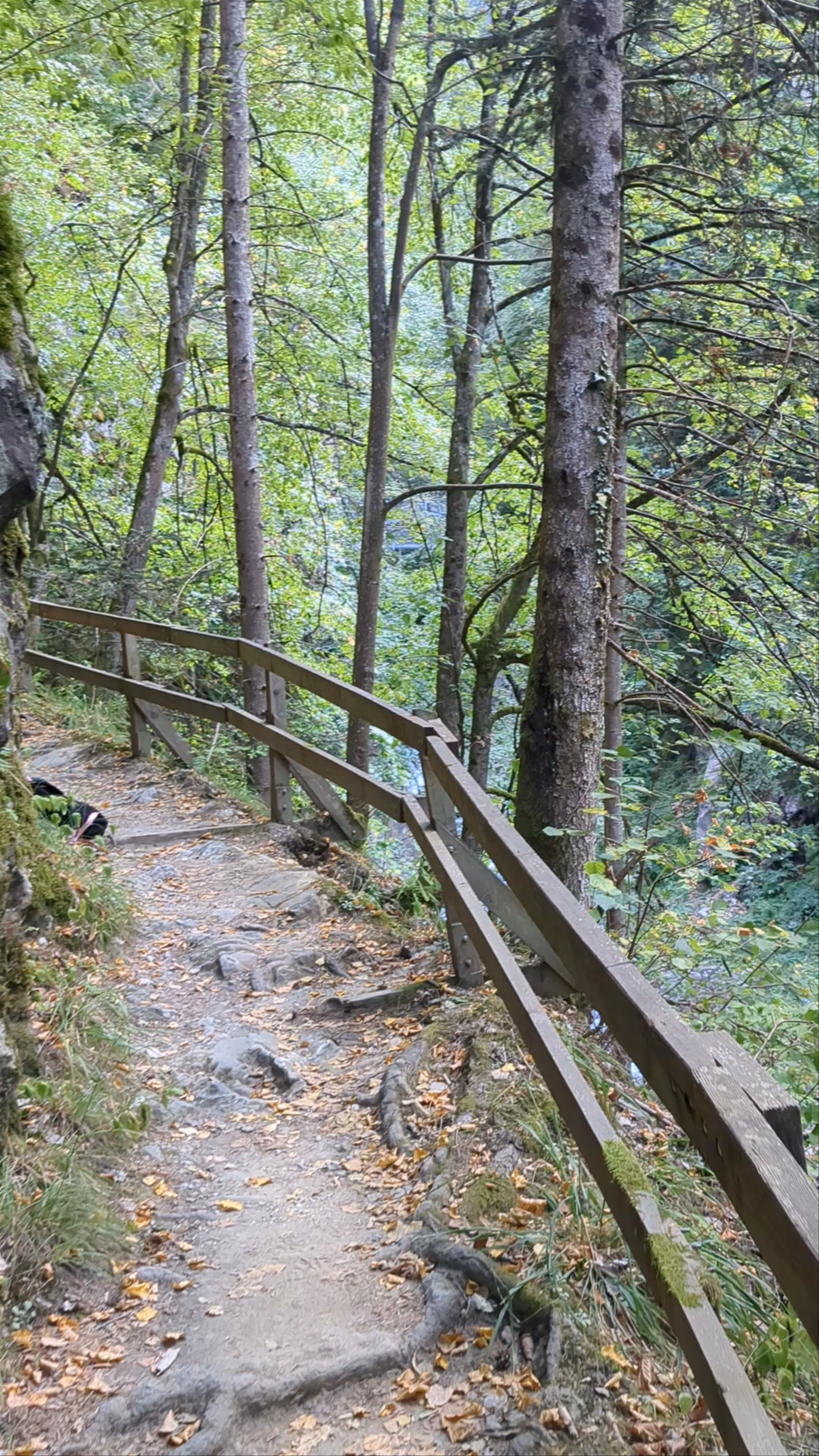 Les Gorges du Durnand