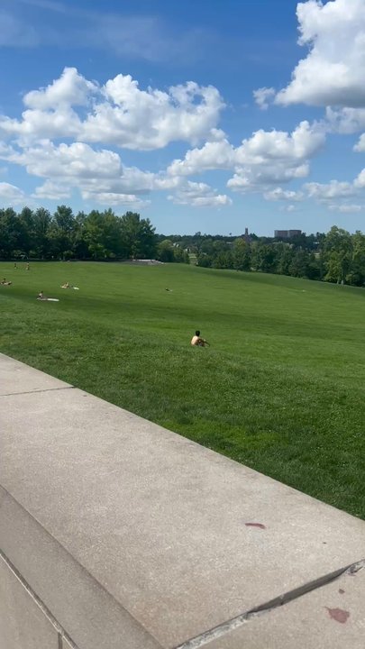 Forest Park - Art Hill - Parks Near Me - Saint Louis, Missouri