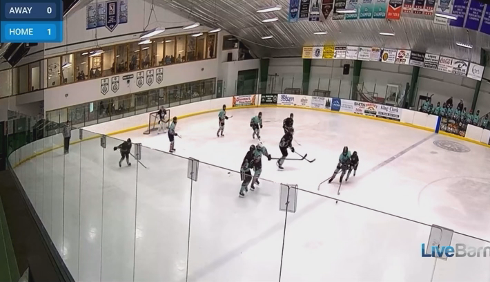 Jenna Miller's Goal at NP Elite Showcase | Saugerties Fillies