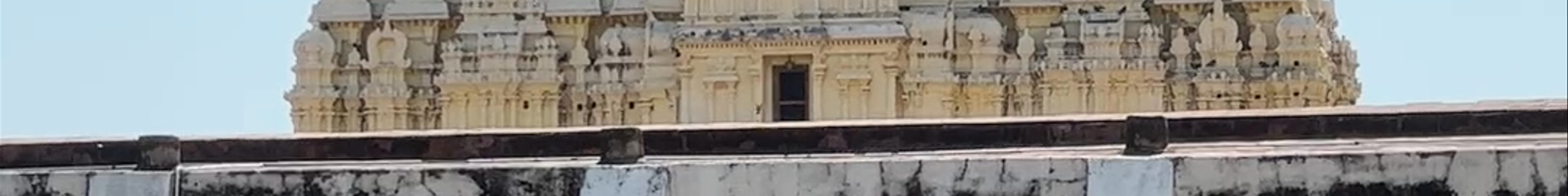 Tours & experiences in Rameswaram