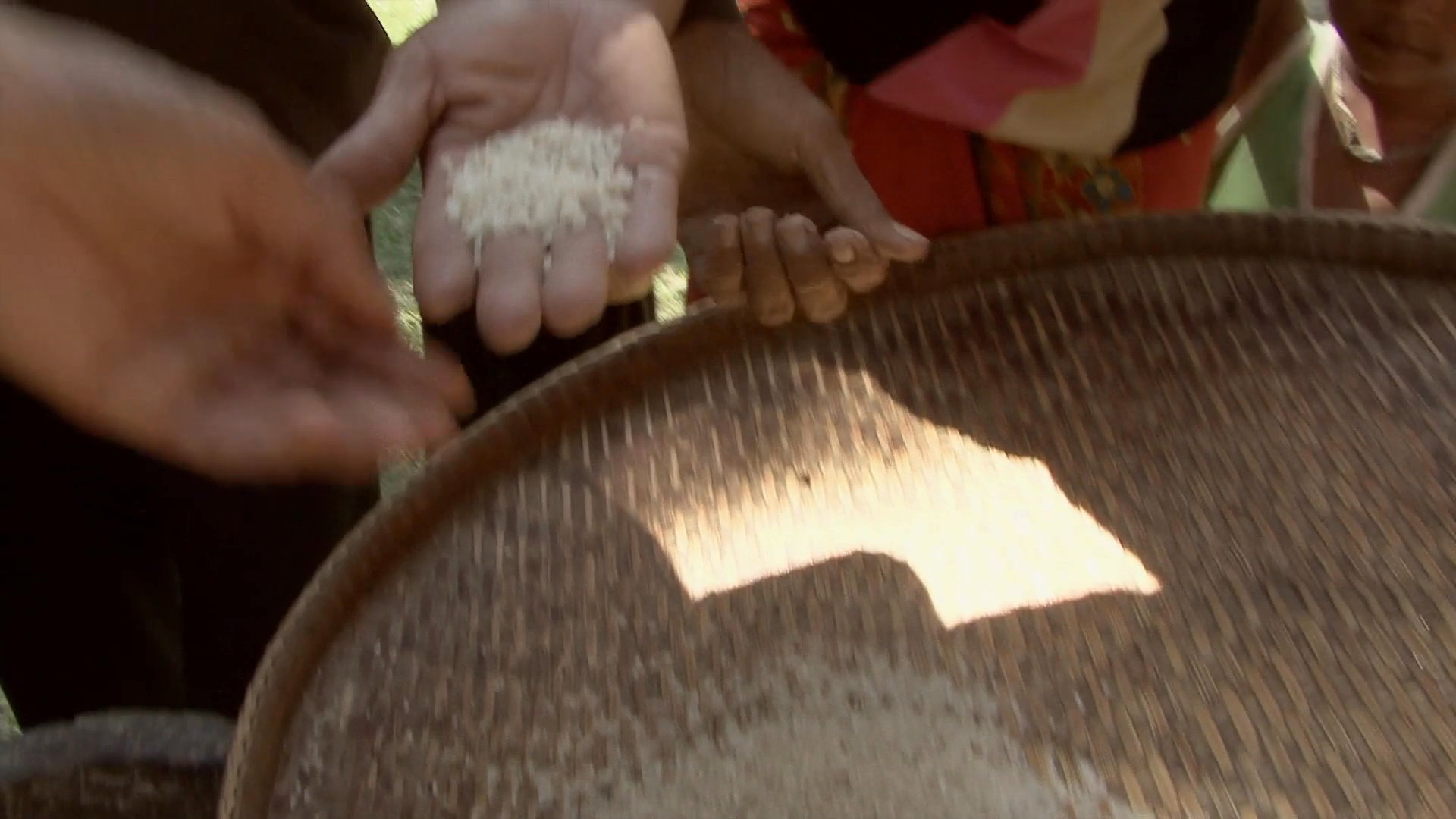 Local community members perform manual rice milling and winnowing using traditional tools. A commentator provides insight into these ancient agricultural practices in a rural outdoor setting.