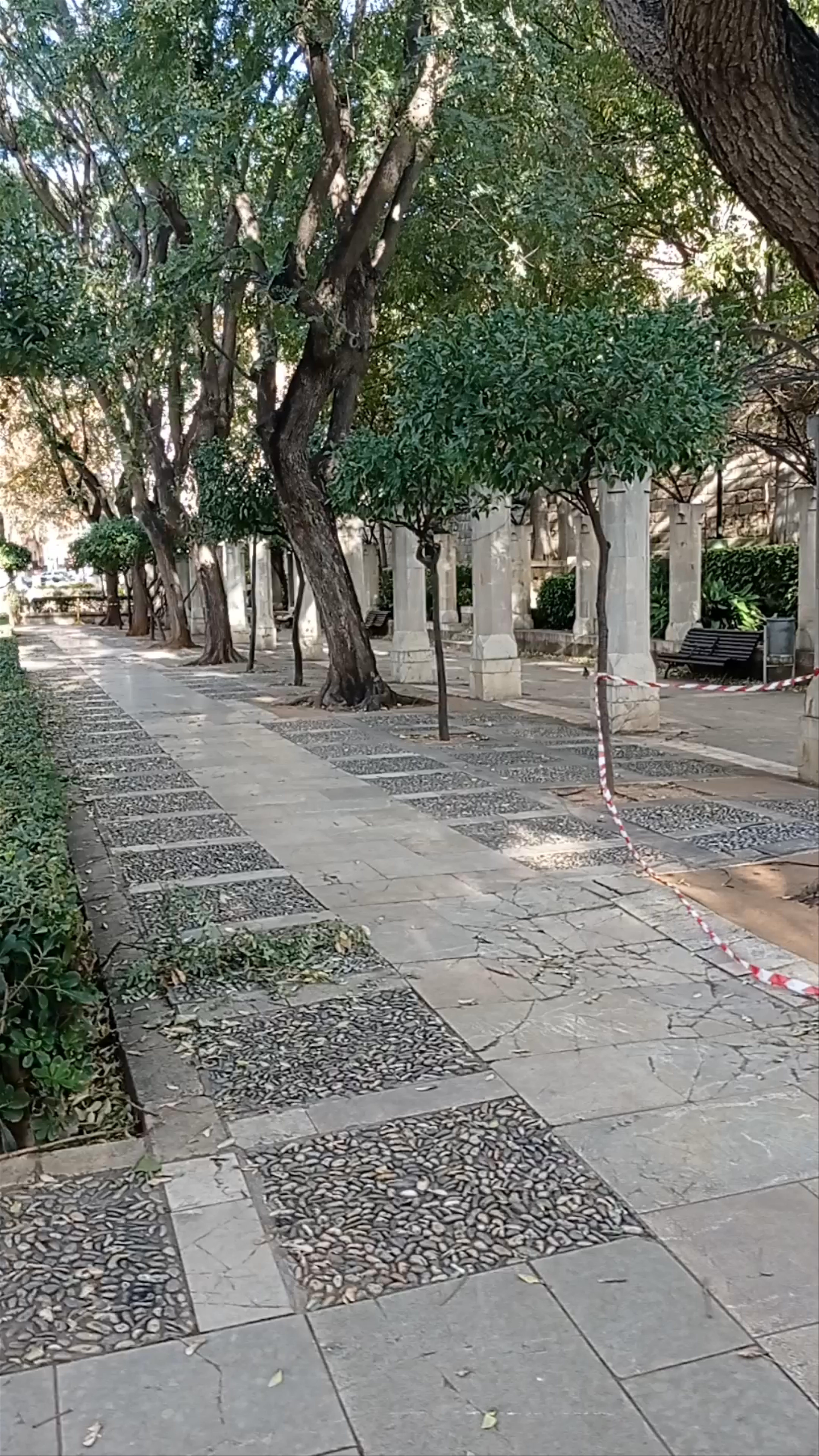 S'Hort del Rei
