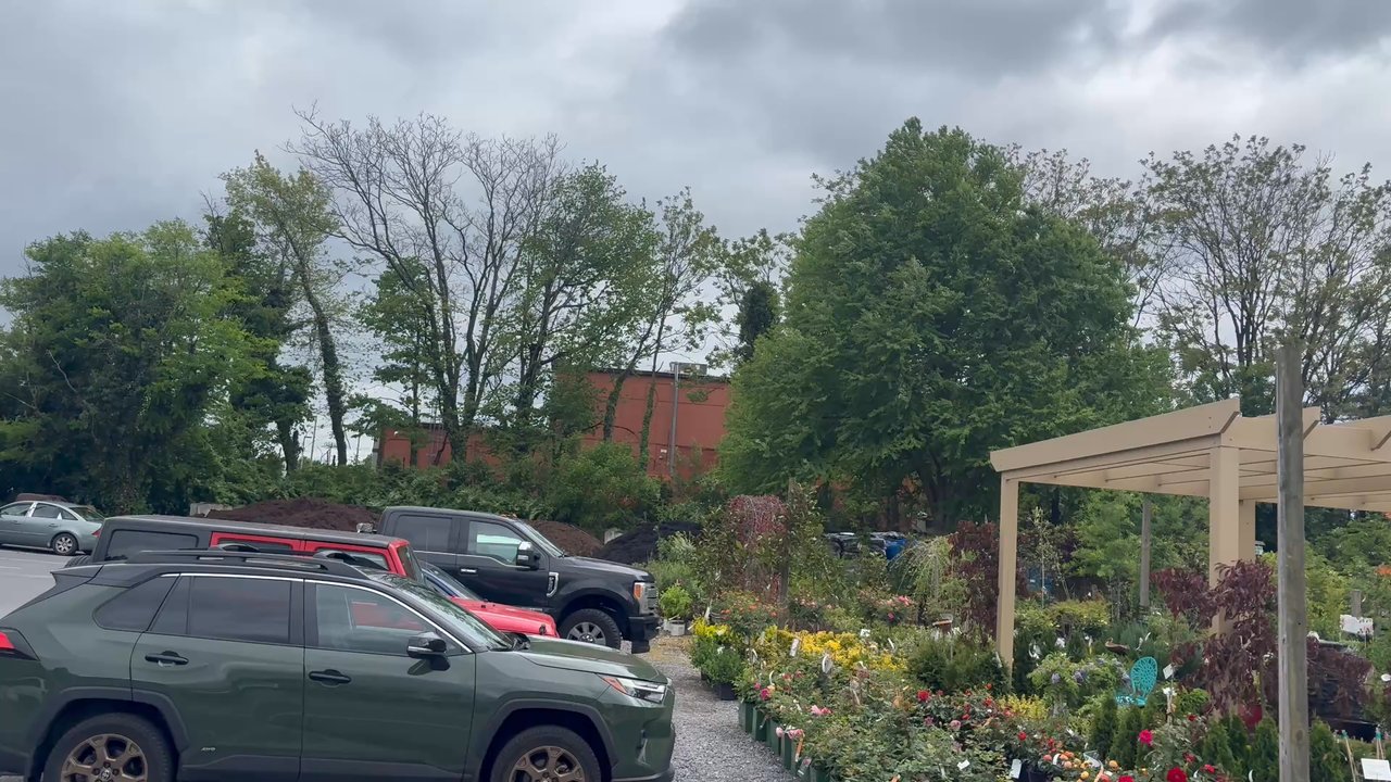 Dutch Plant Farm - Nurseries & Gardening Near Me - Frederick, Maryland