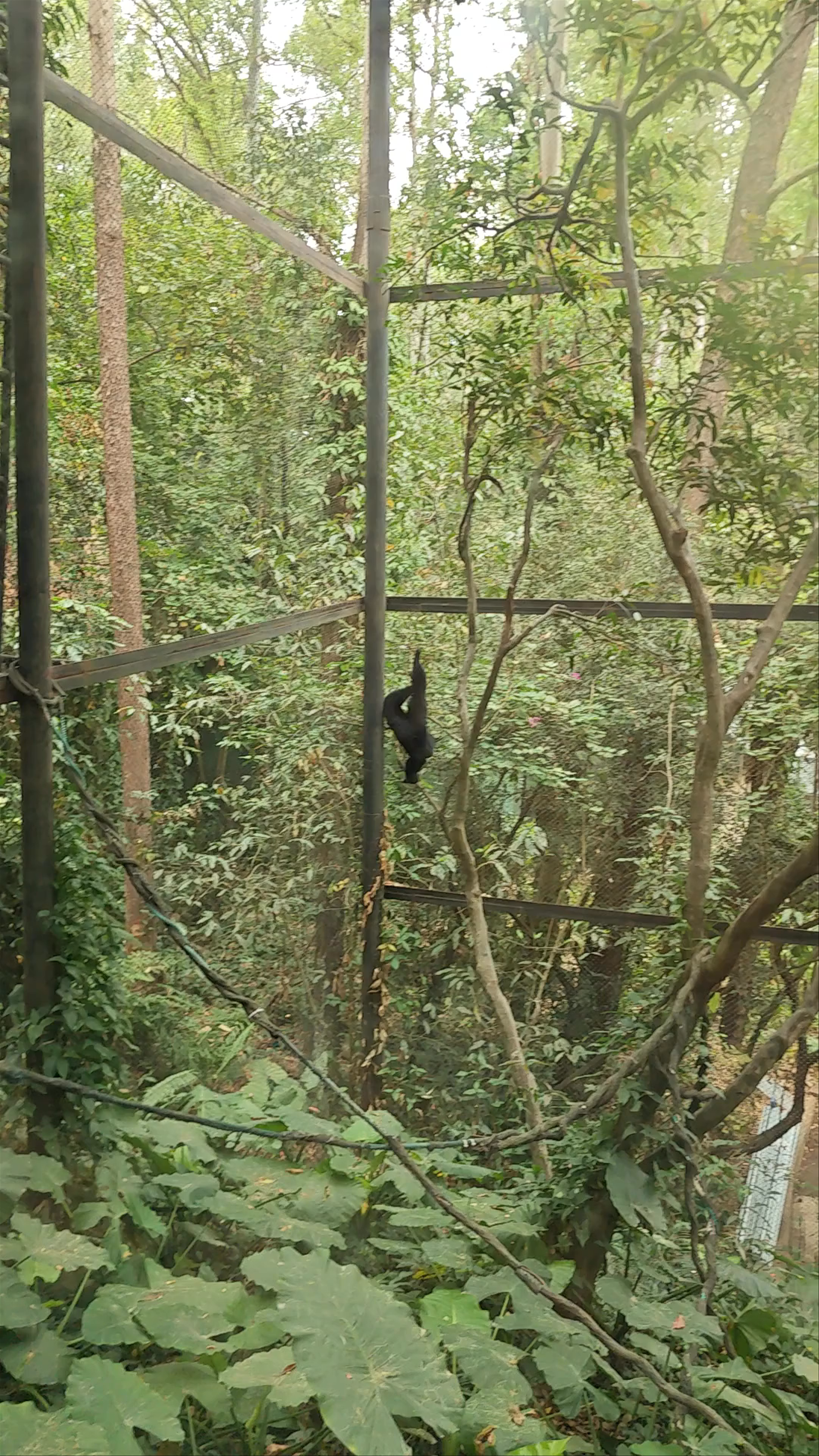 中国 Guangdong Province