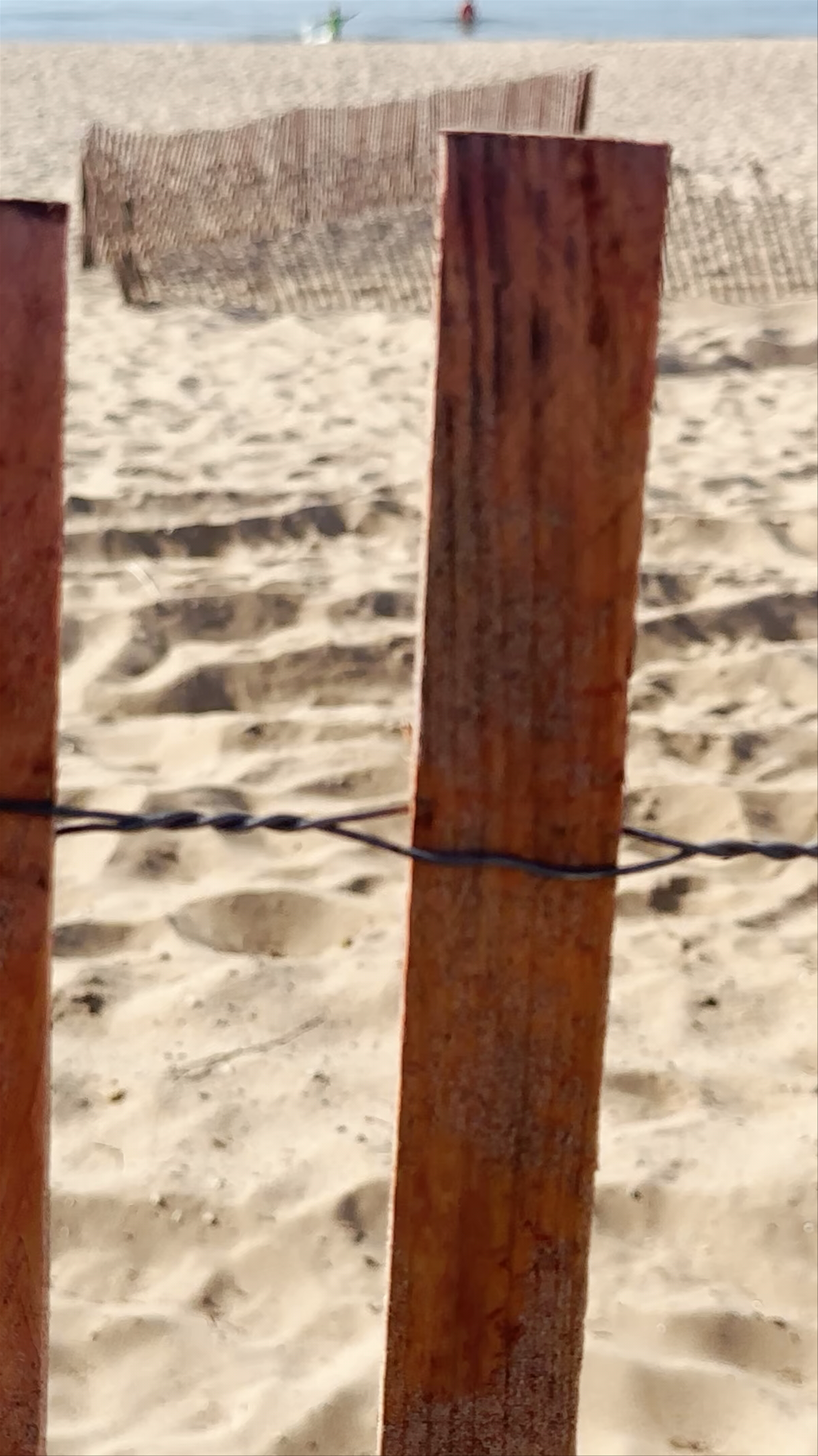 Oval Beach Saugatuck