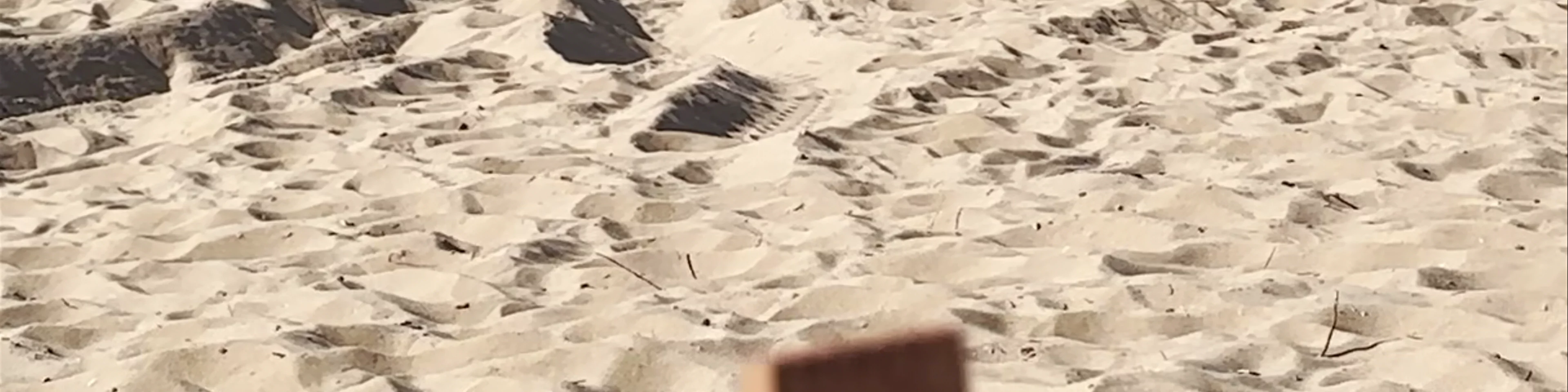 Oval Beach Saugatuck