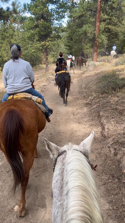 Jackson's Stables - Horseback Riding Near Me - Estes Park, Colorado