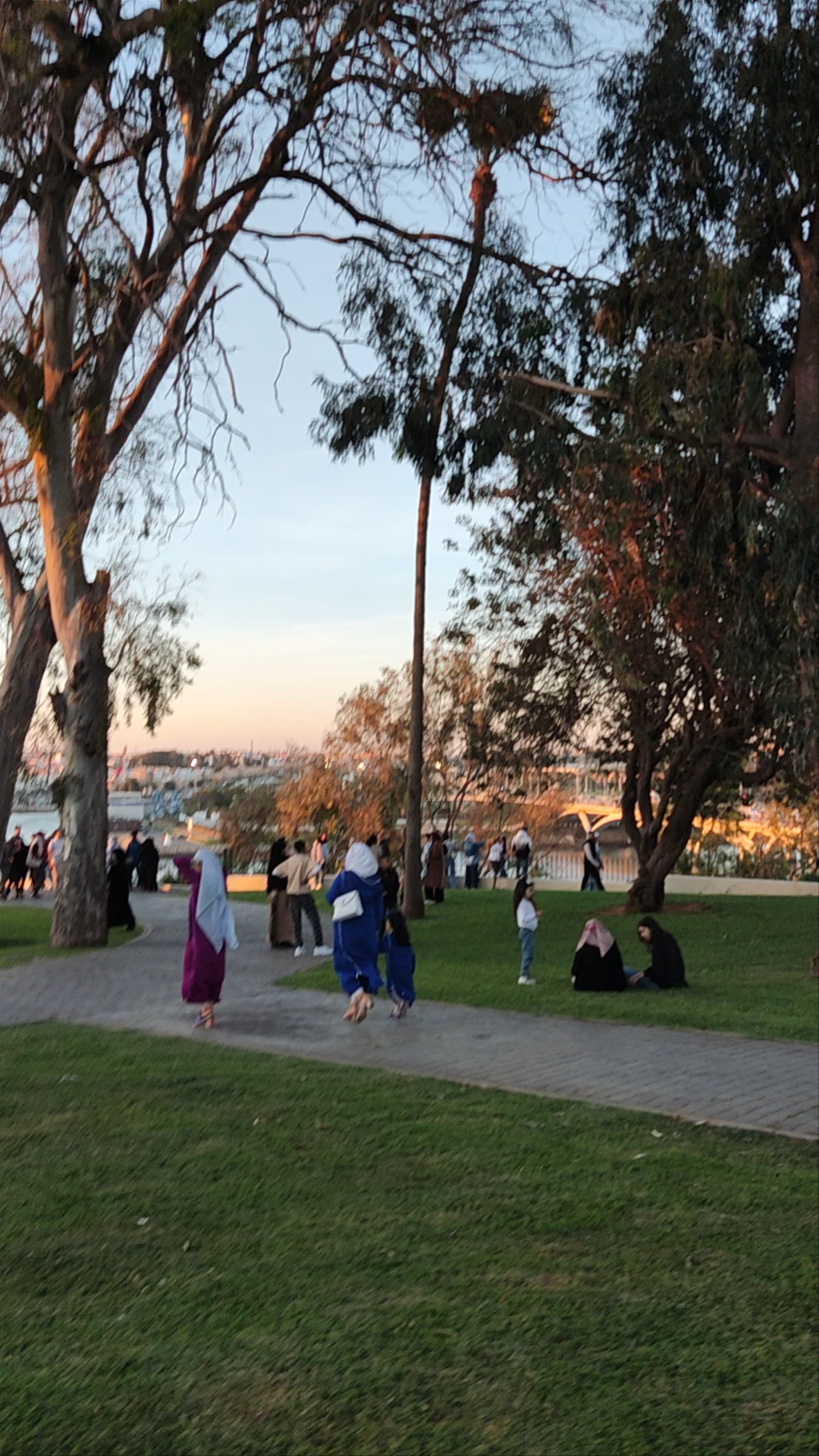 حديقة صومعة حسان