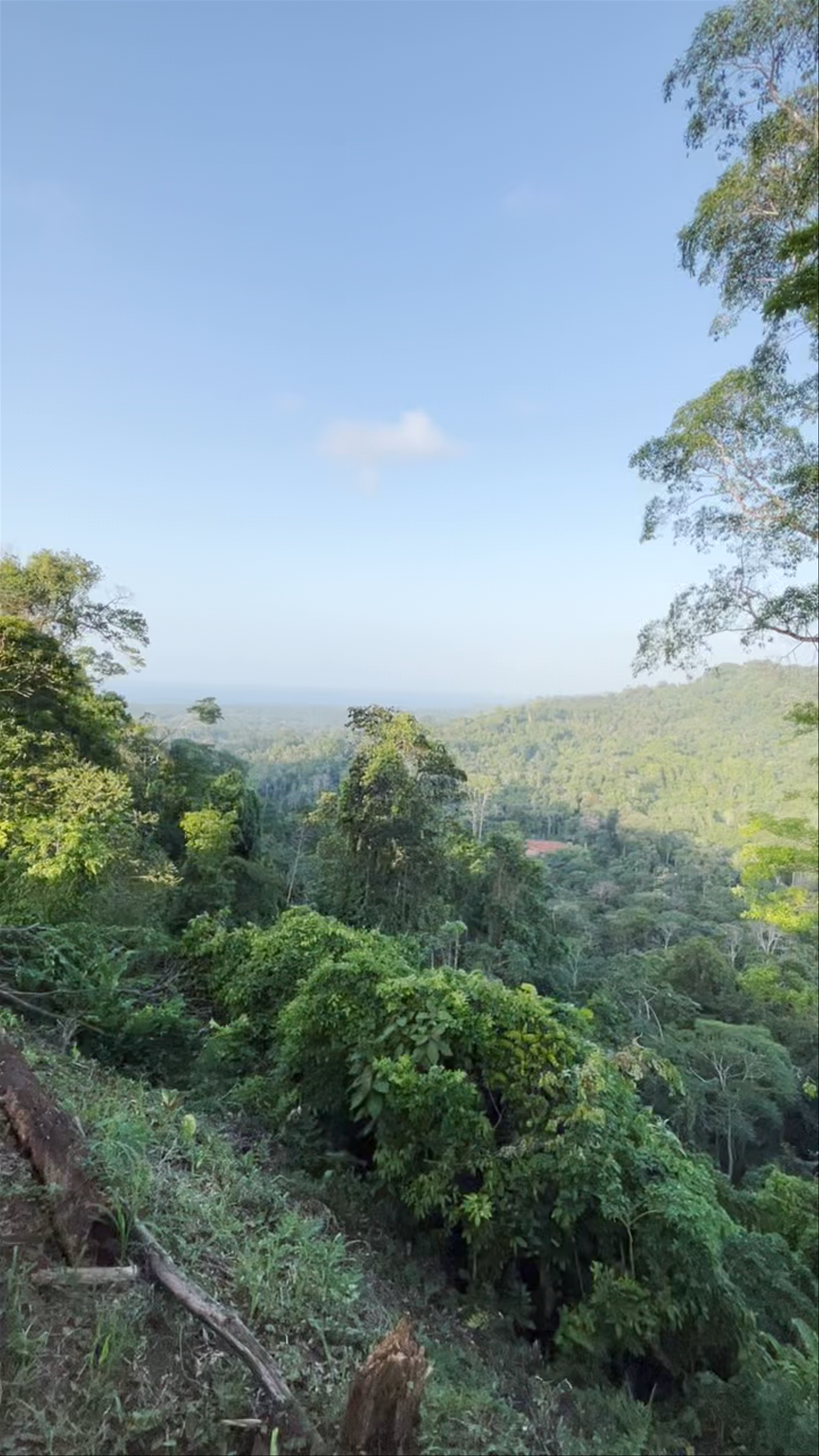 Bri Bri Waterfalls and Lush Forest Views in Talamanca, Costa Rica