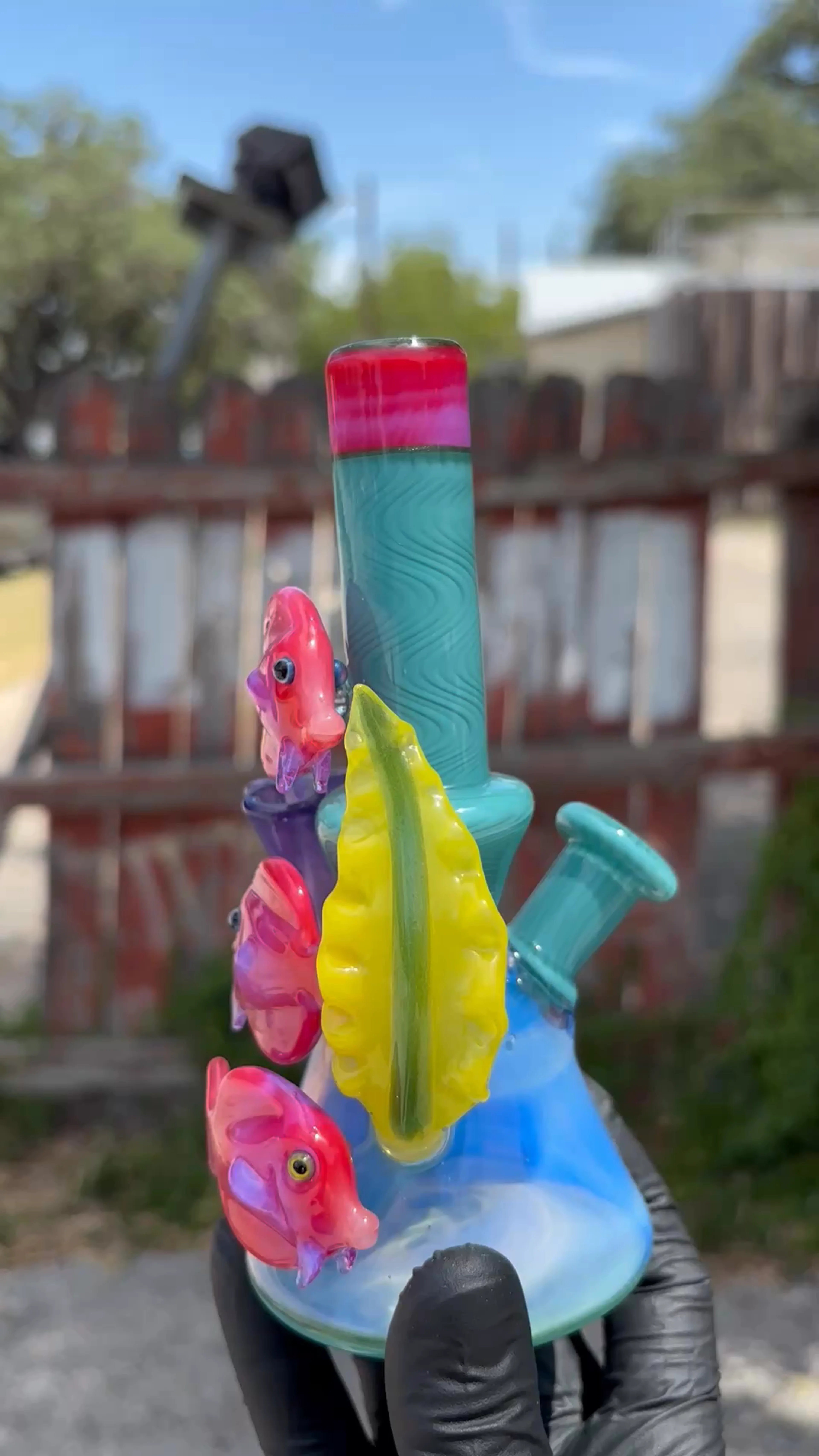 Preview pic of Burtoni beaker