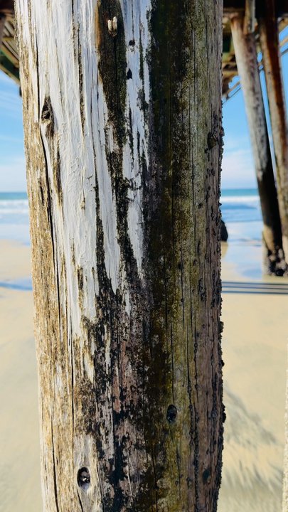 Imperial Beach Pier - Beaches Near Me - Imperial Beach, California