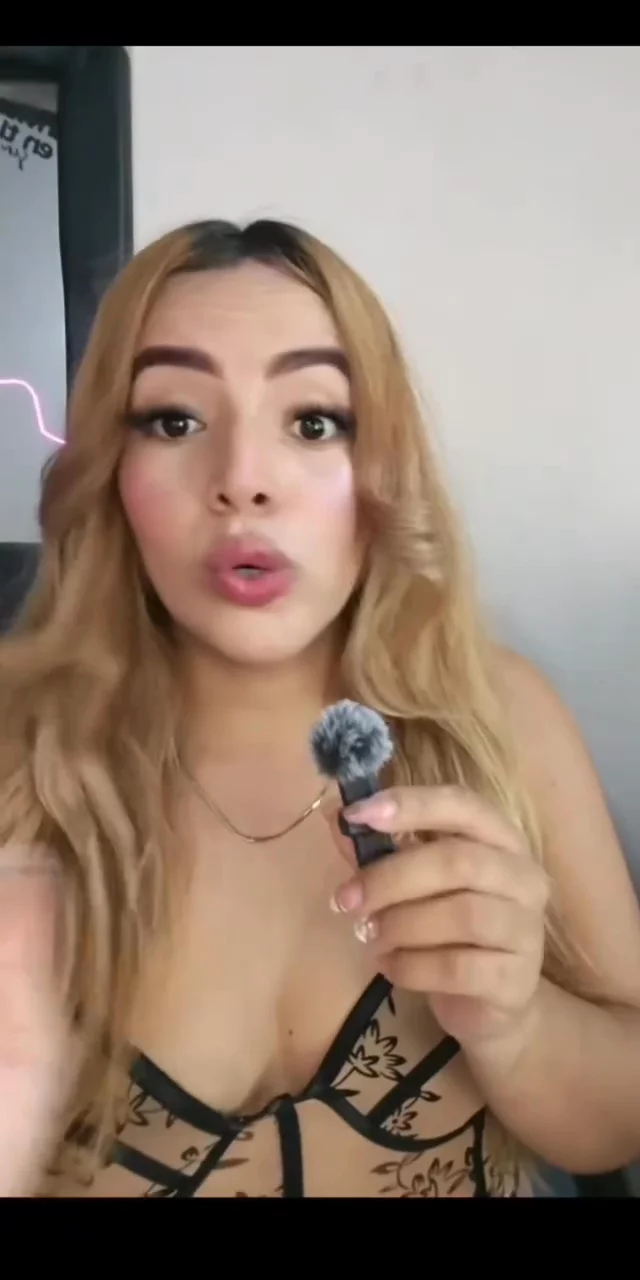 Contenido del creador