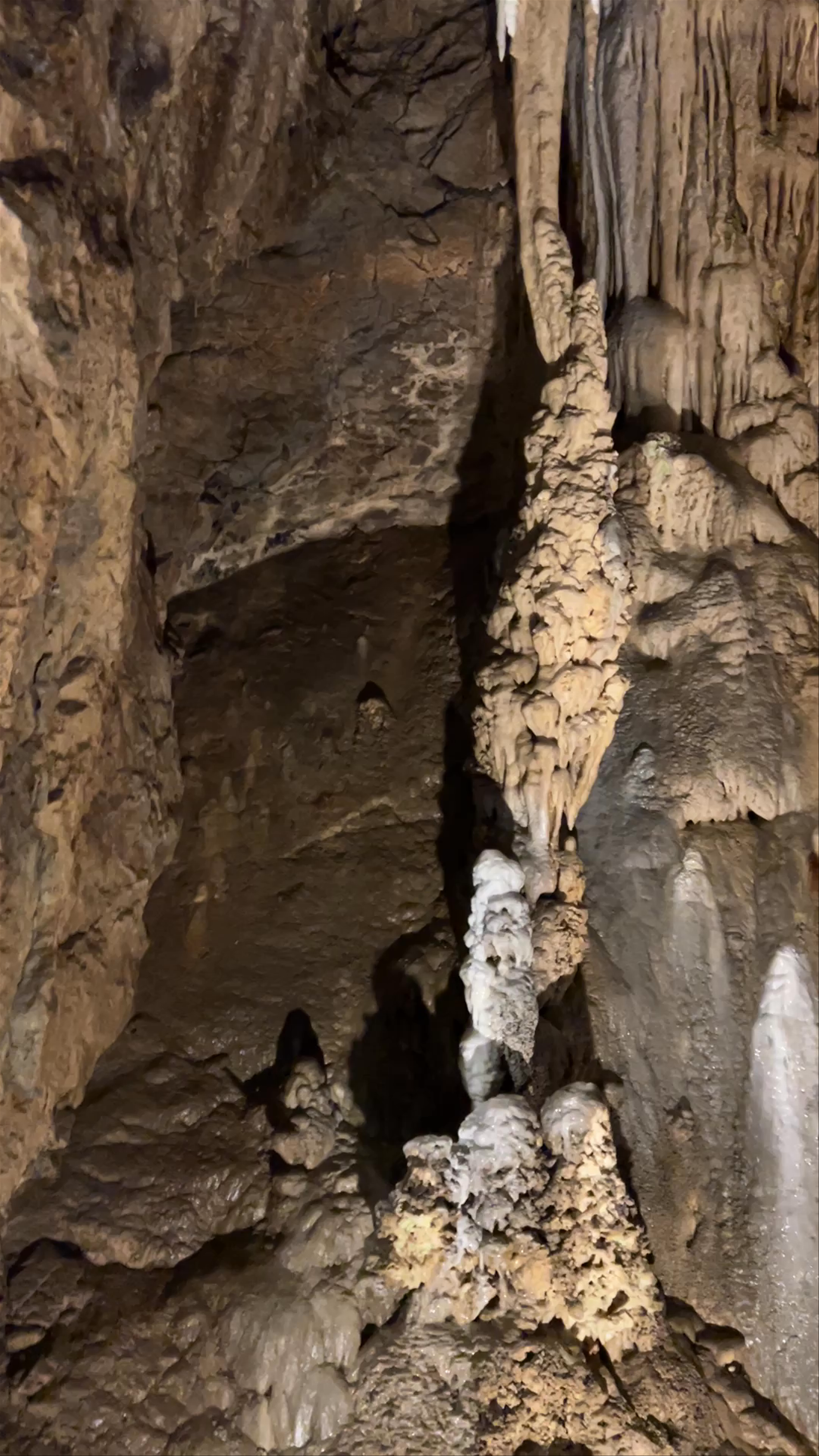 Punkva caves