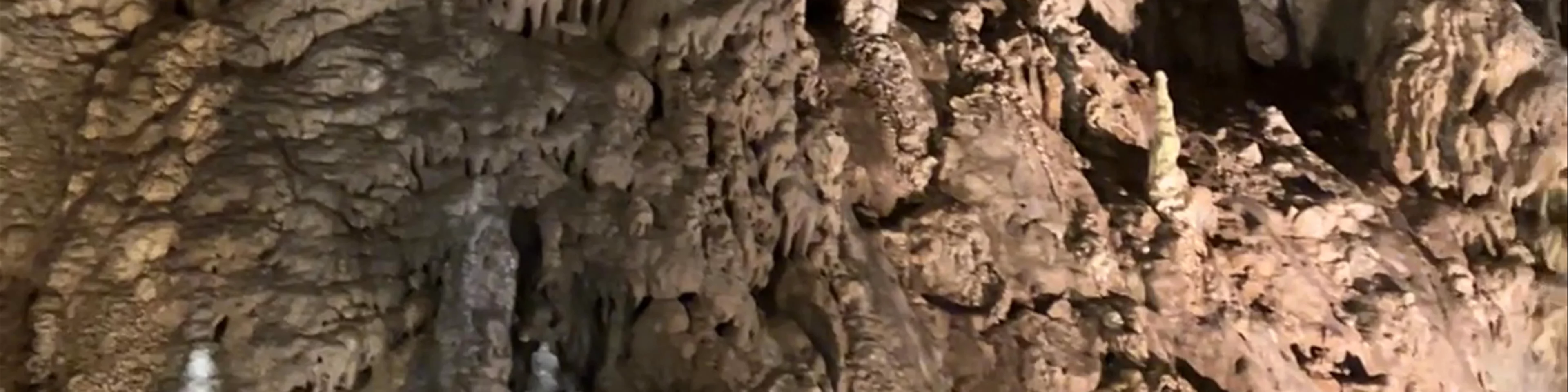 Punkva caves