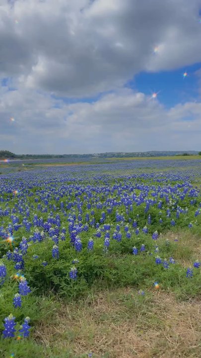 Muleshoe Bend Recreation Area - Parks Near Me - Spicewood, Texas