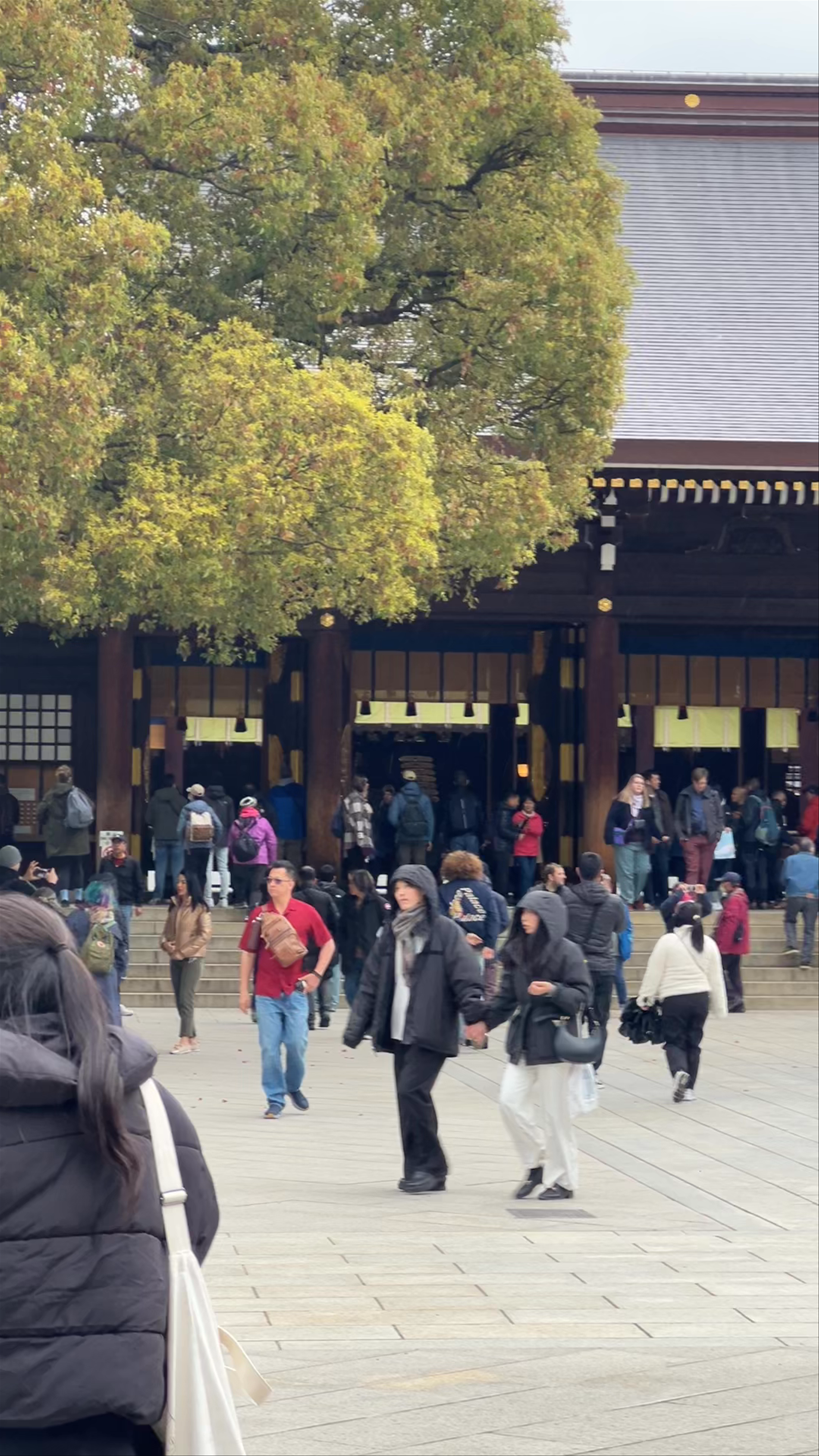 Meiji Jingu