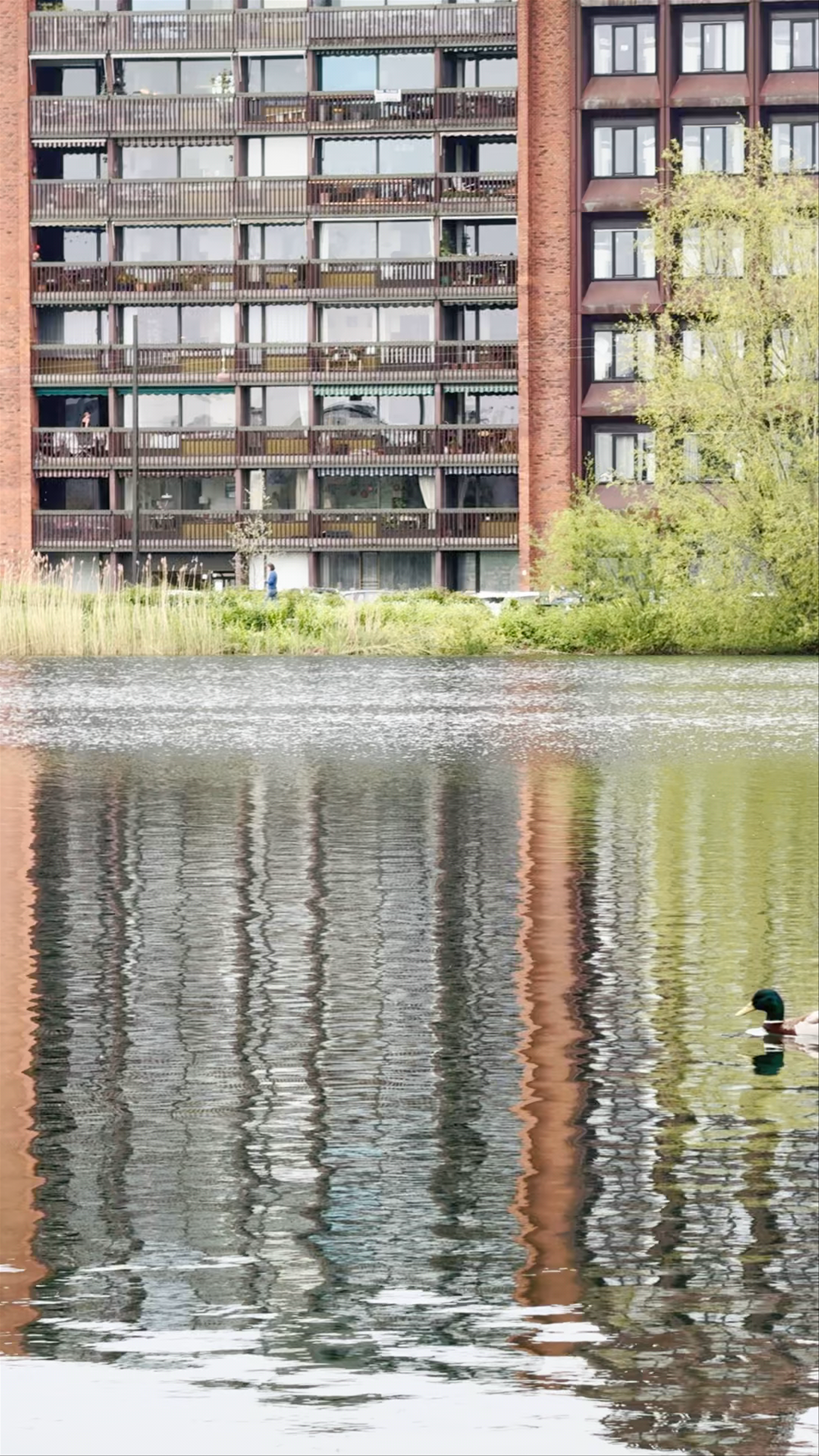 Serene Reflections at Søerne, Copenhagen
