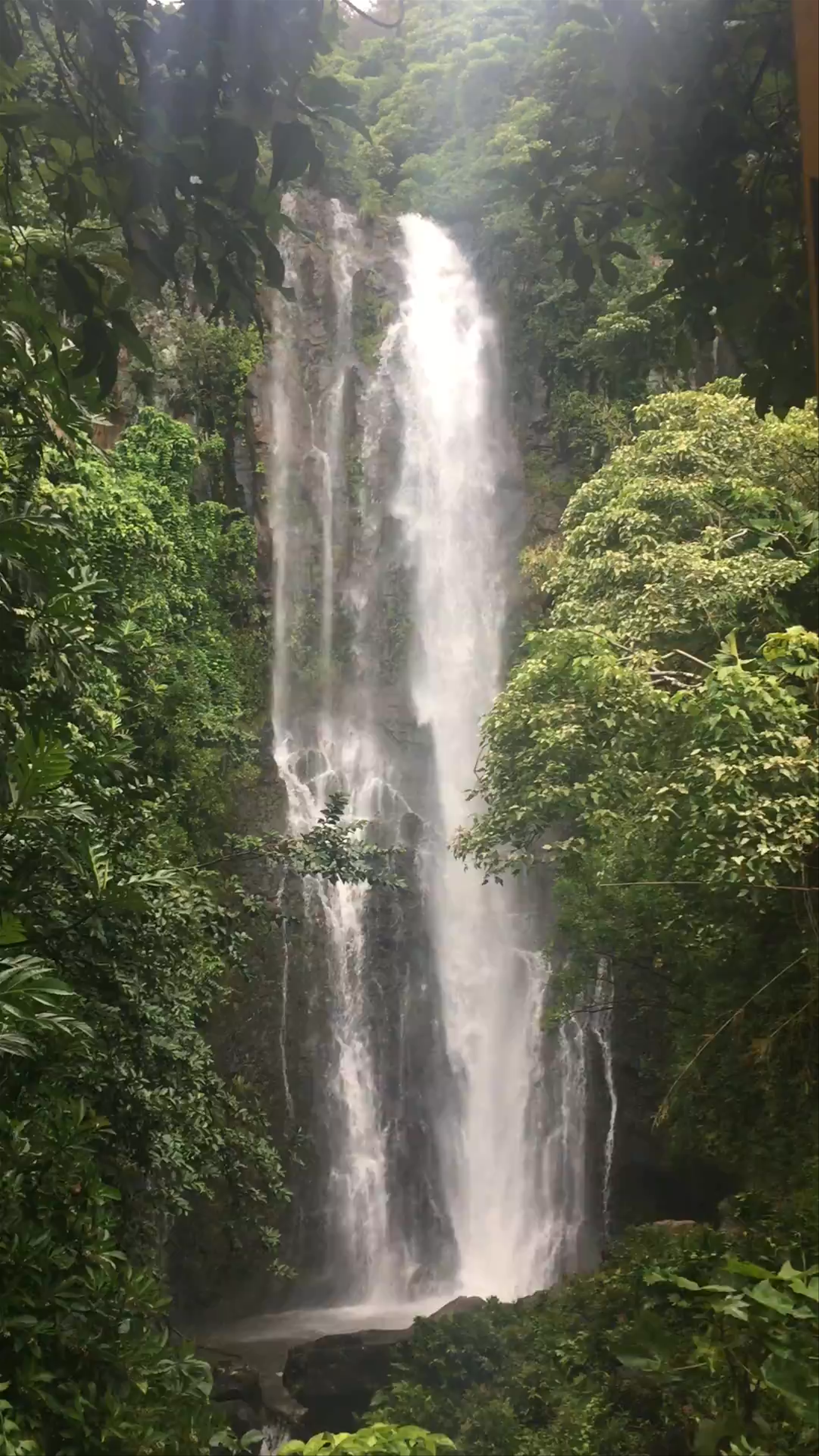 Hana Highway Authentic Hawaiian Food
