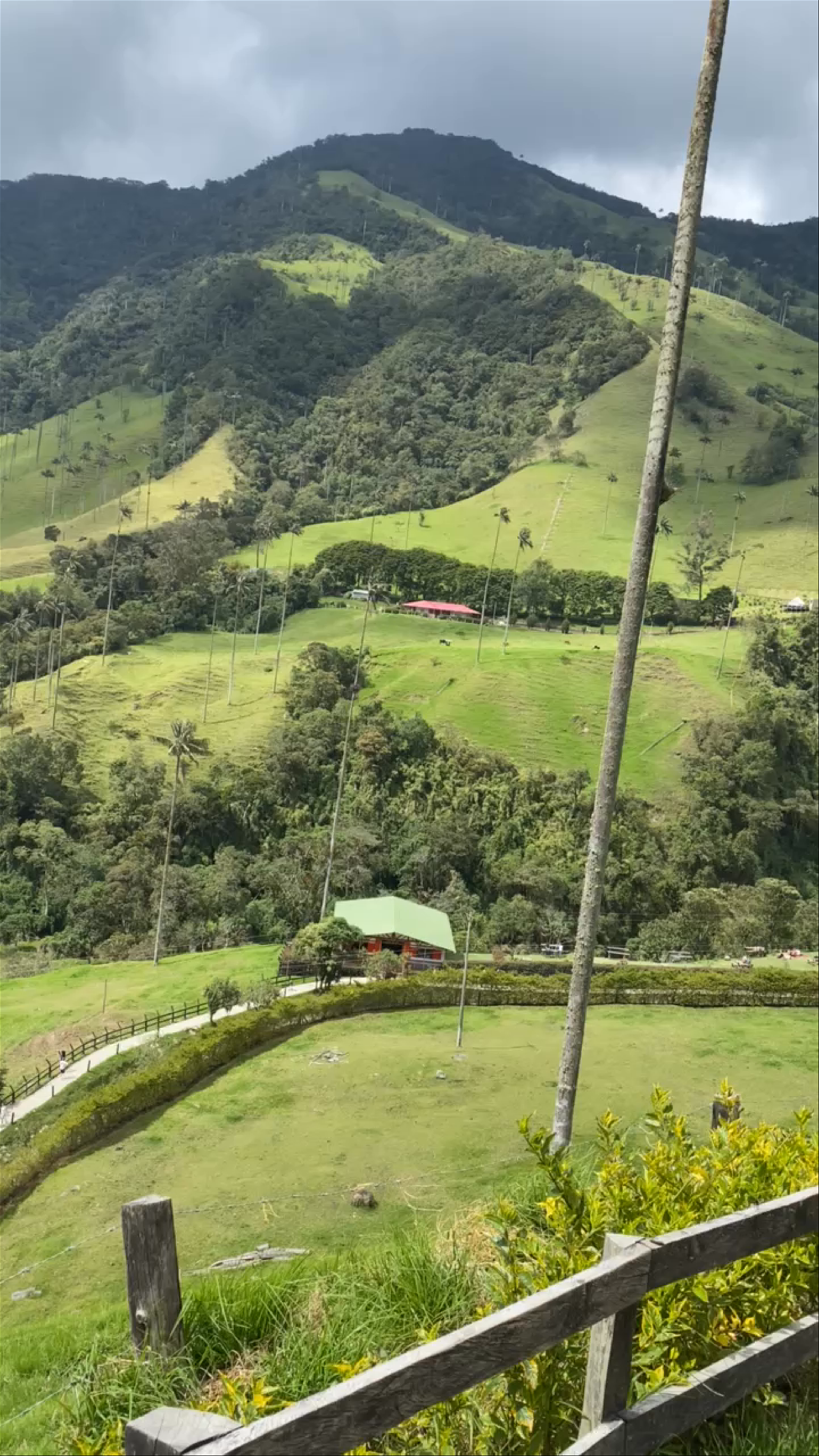Mirador 1 Viewpoint Valle de Cocora: Breathtaking High-Altitude Vista in Salento
