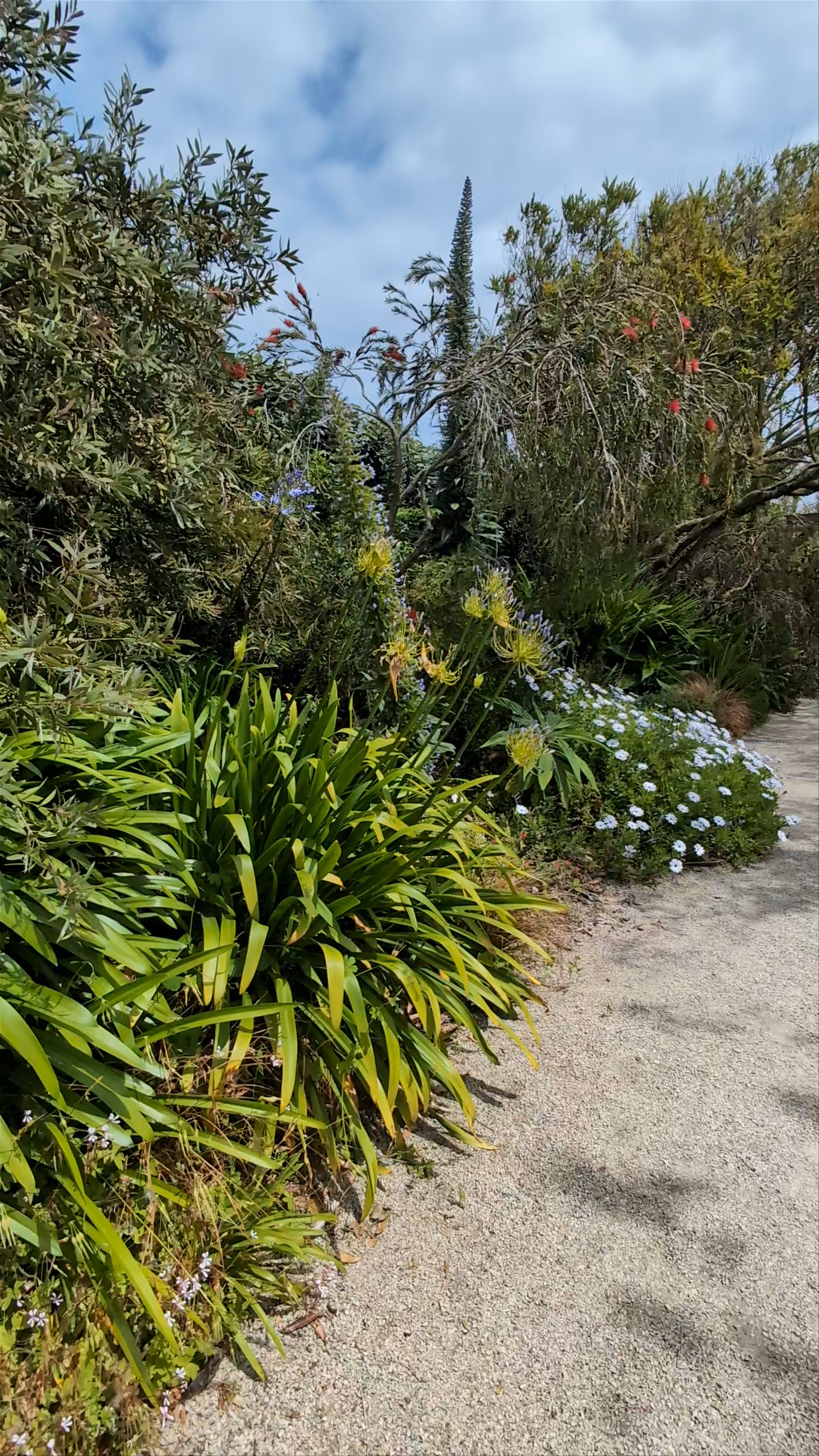 The Exotic Garden of Roscoff