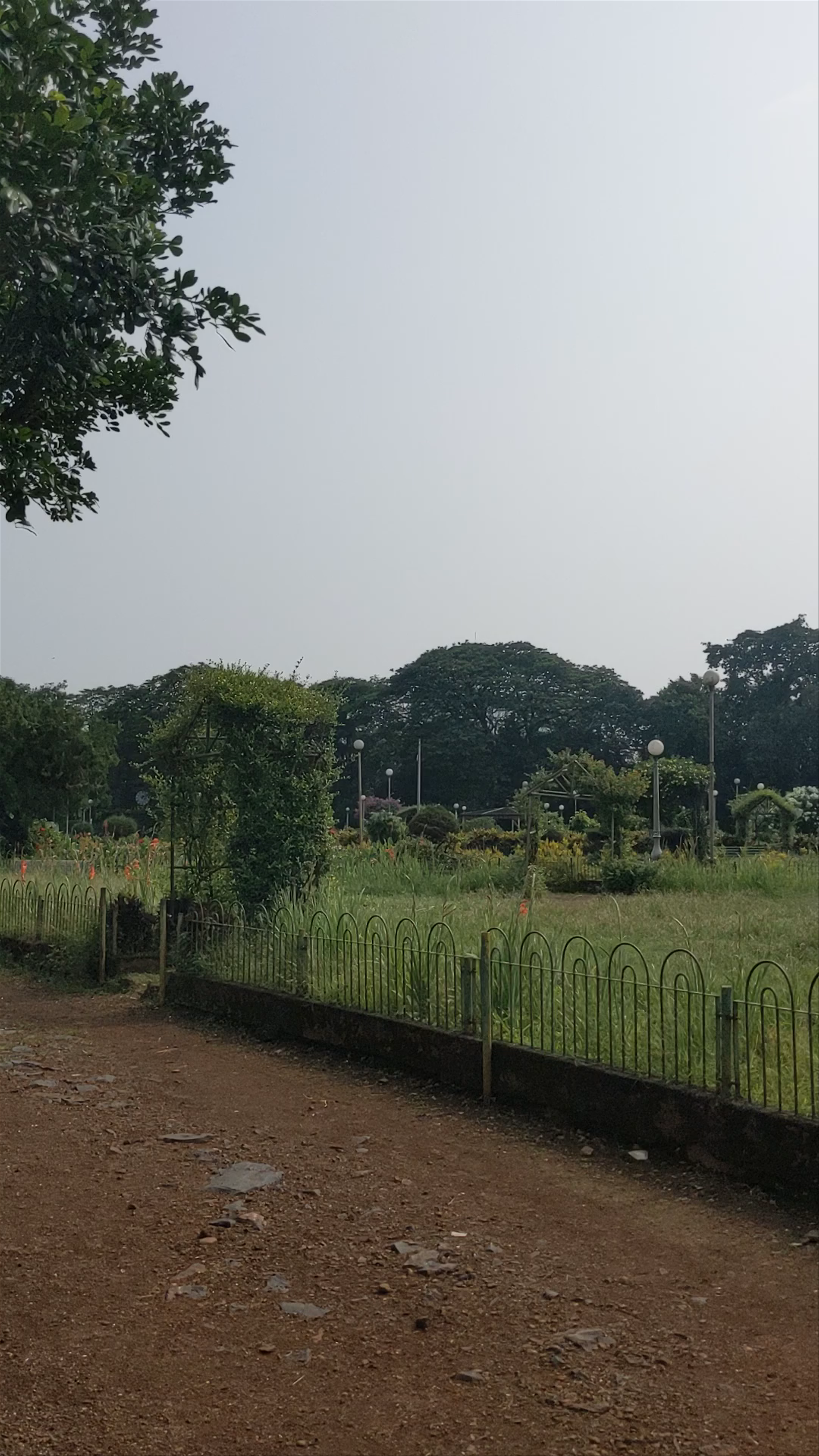 Hanging Gardens