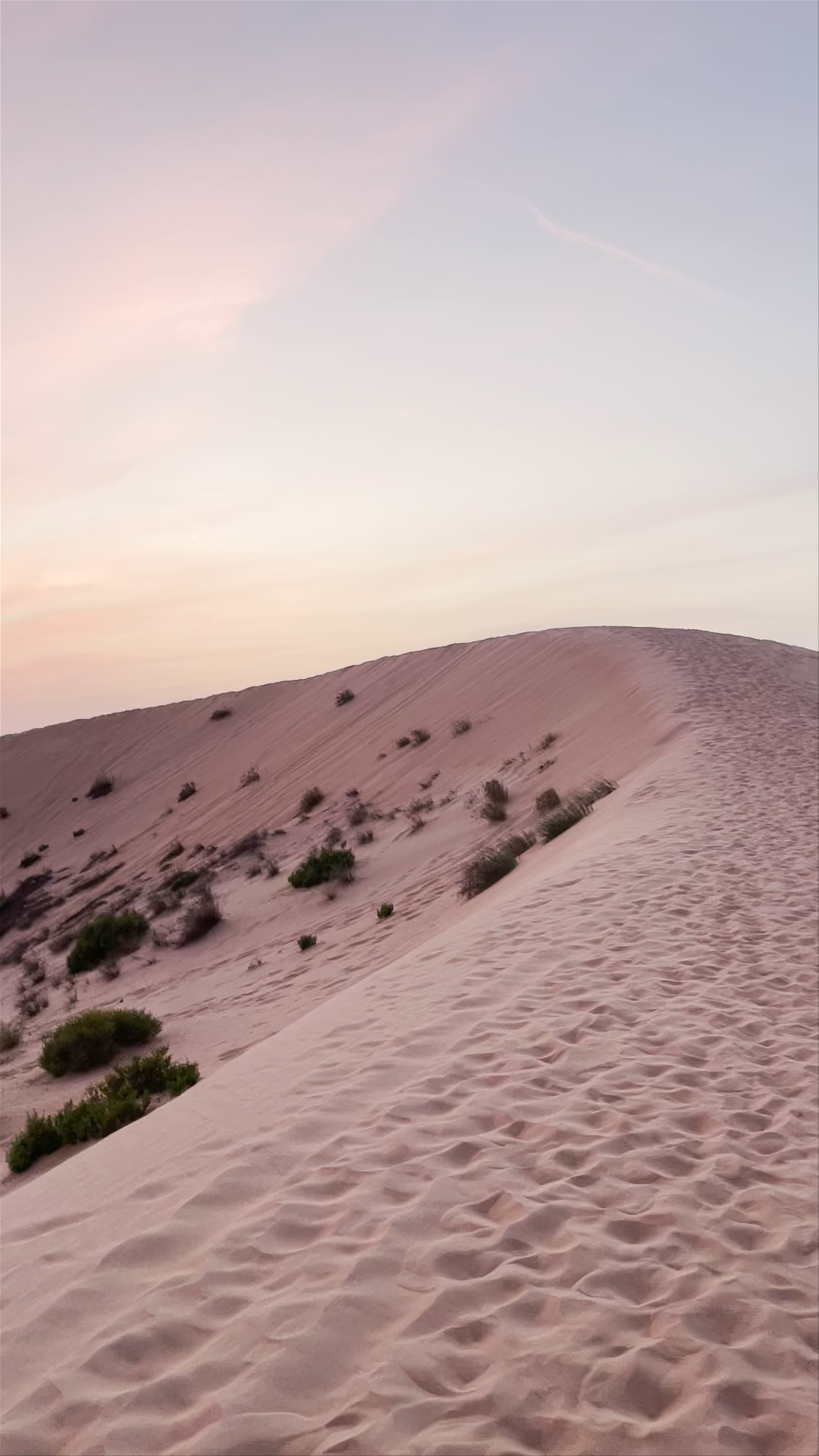 Bida Al Mutawa's Clinic - Abu Dhabi - United Arab Emirates