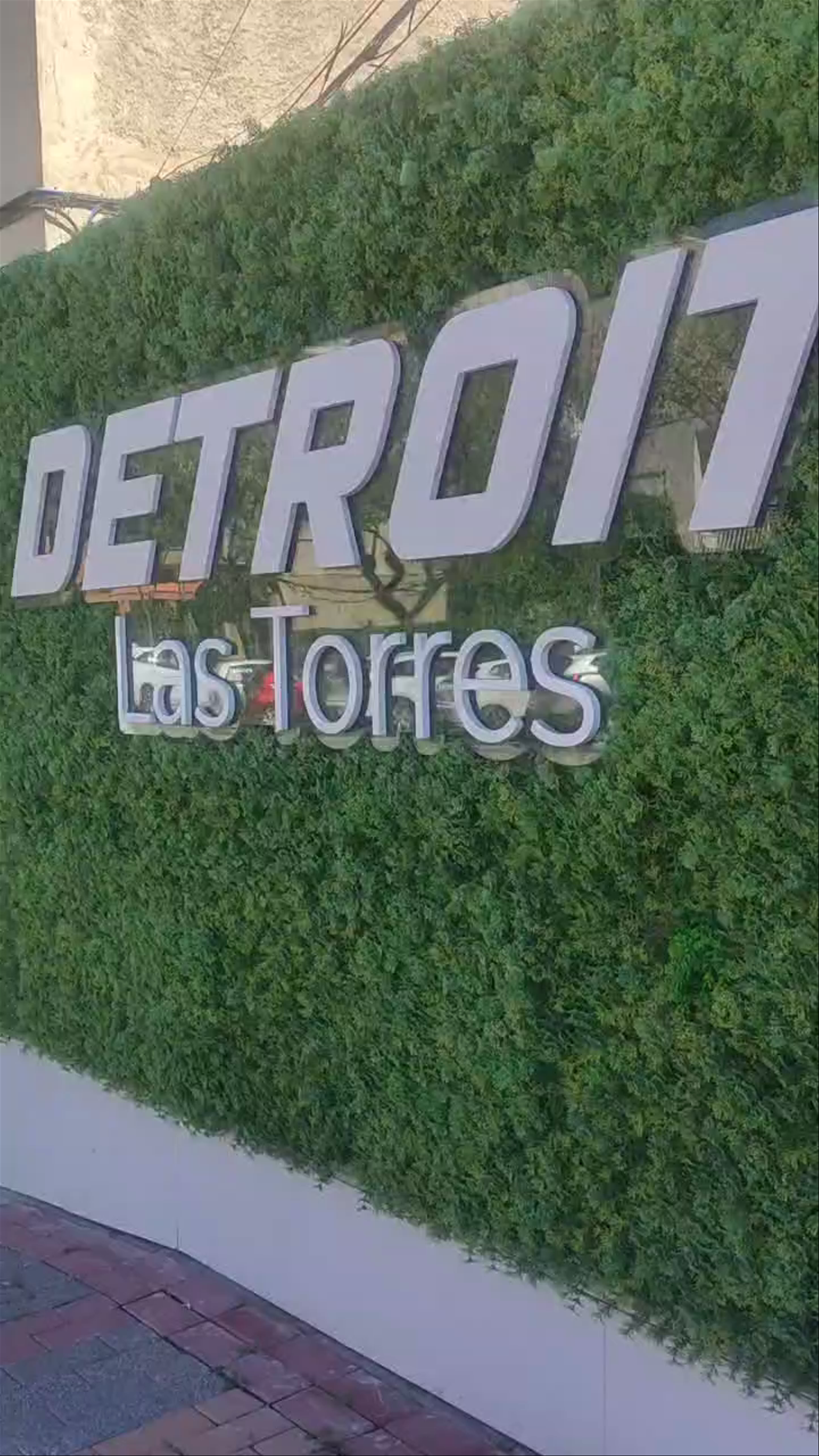Detroit Las torres