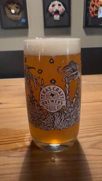 Hold Out Brewing - The glass! - Brewpubs Near Me - Austin, Texas