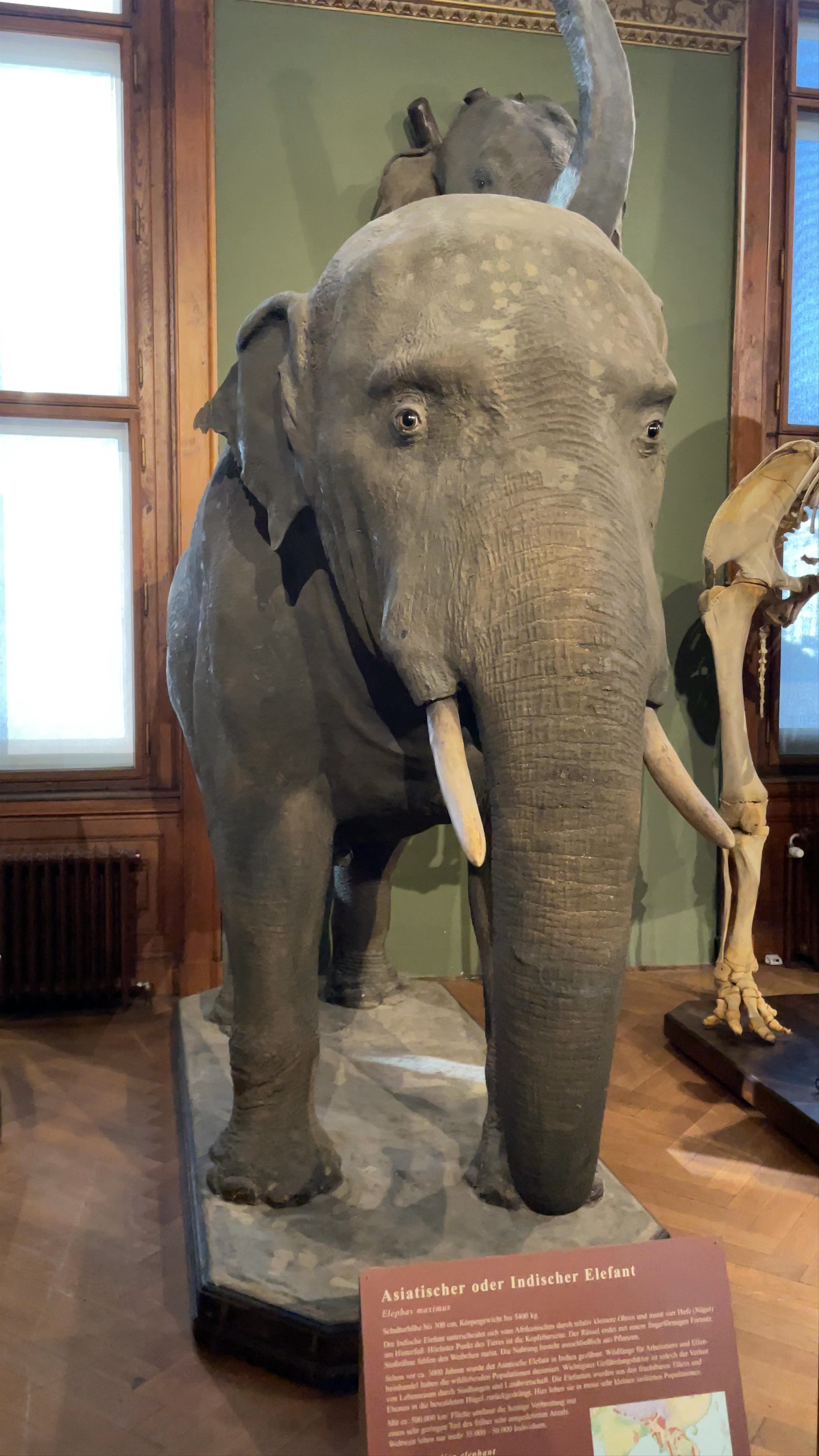 Museum of Natural History Vienna