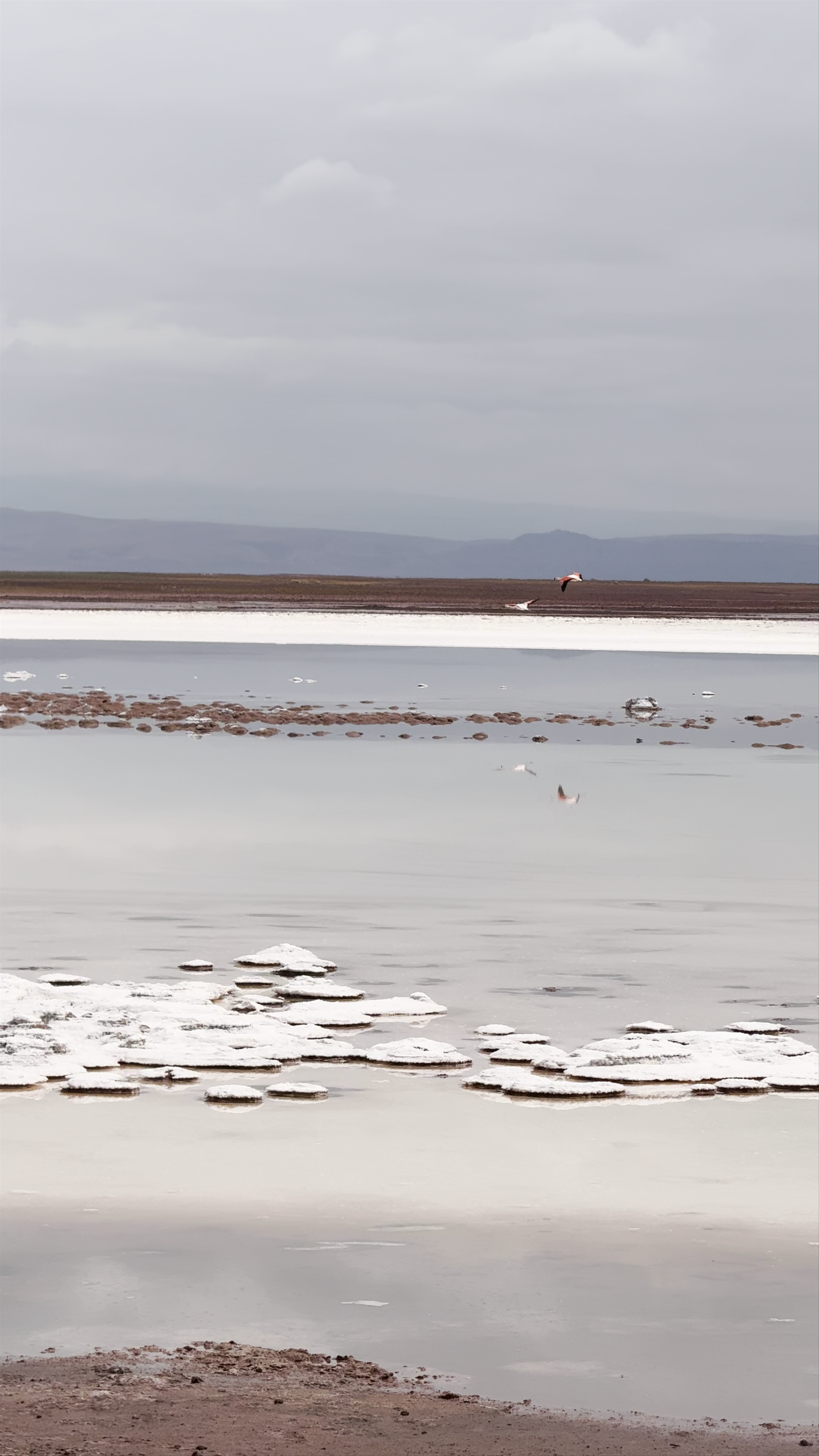 Laguna Tebinquiche