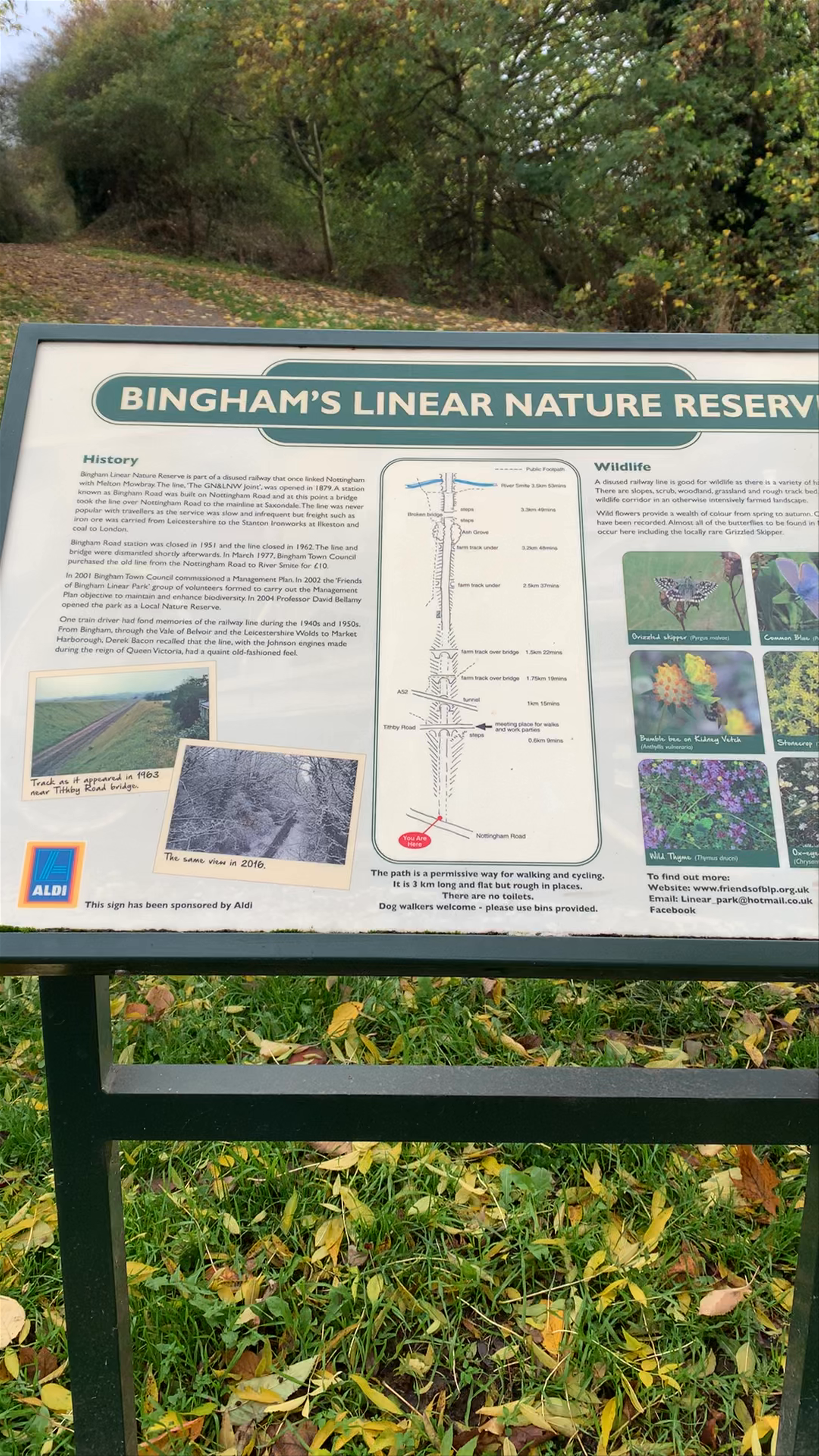 Linear Walk