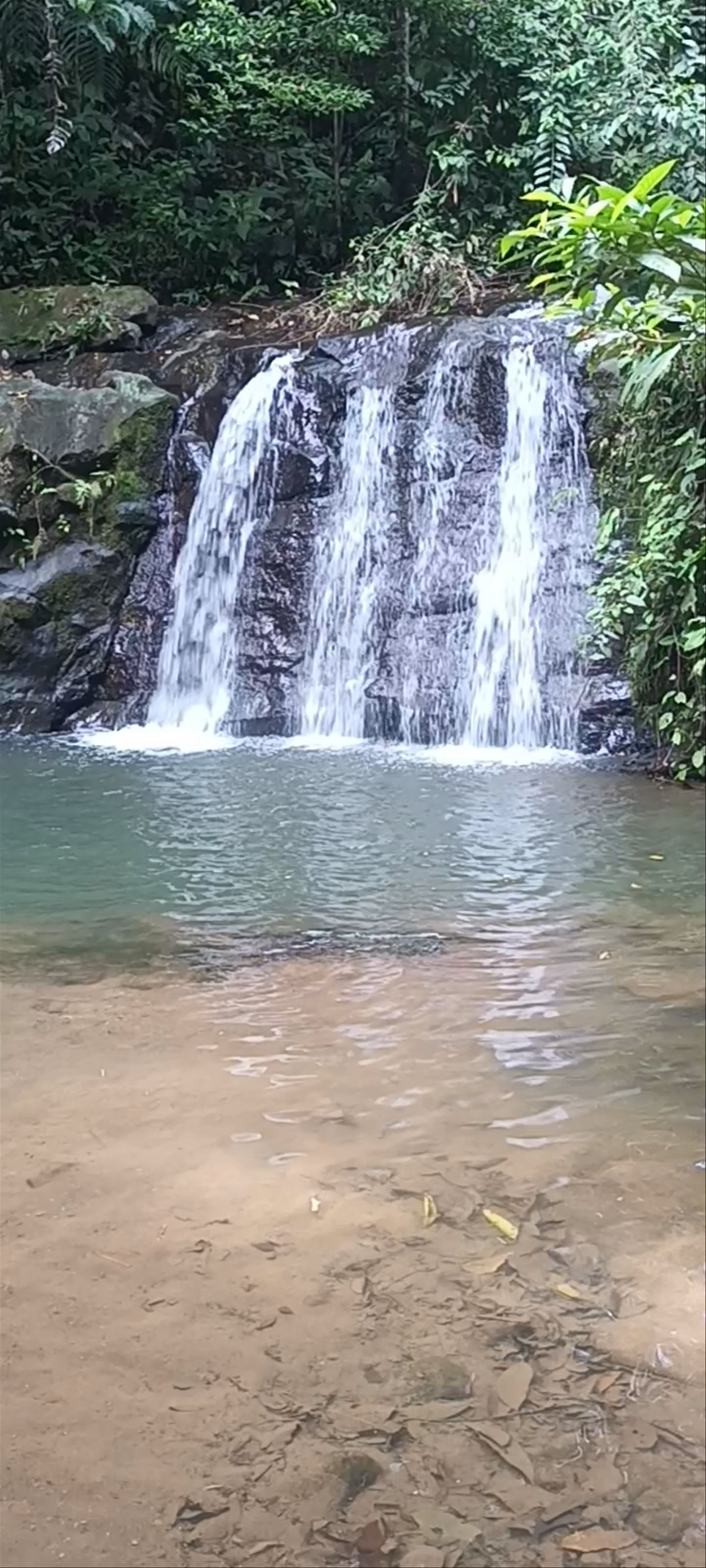 Bri Bri Waterfalls: Tropical Tranquility in Limón Province, Costa Rica
