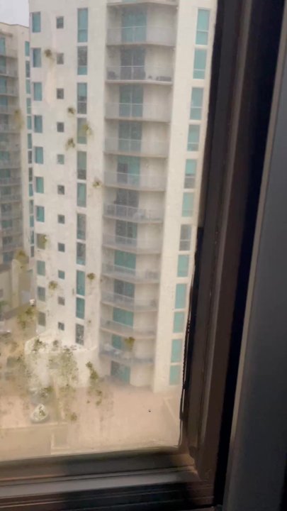 Miami Marriott Dadeland - Moldy windows - Hotels Near Me - Miami, Florida