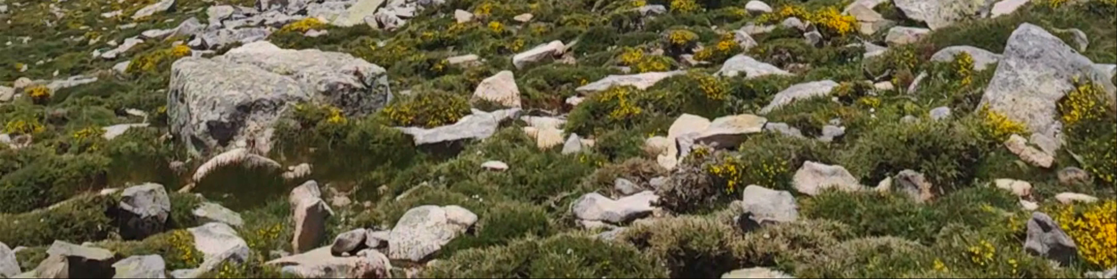 Lac de Ninu - Lavu di Ninu