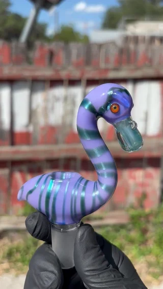 Preview pic of Burtoni slide