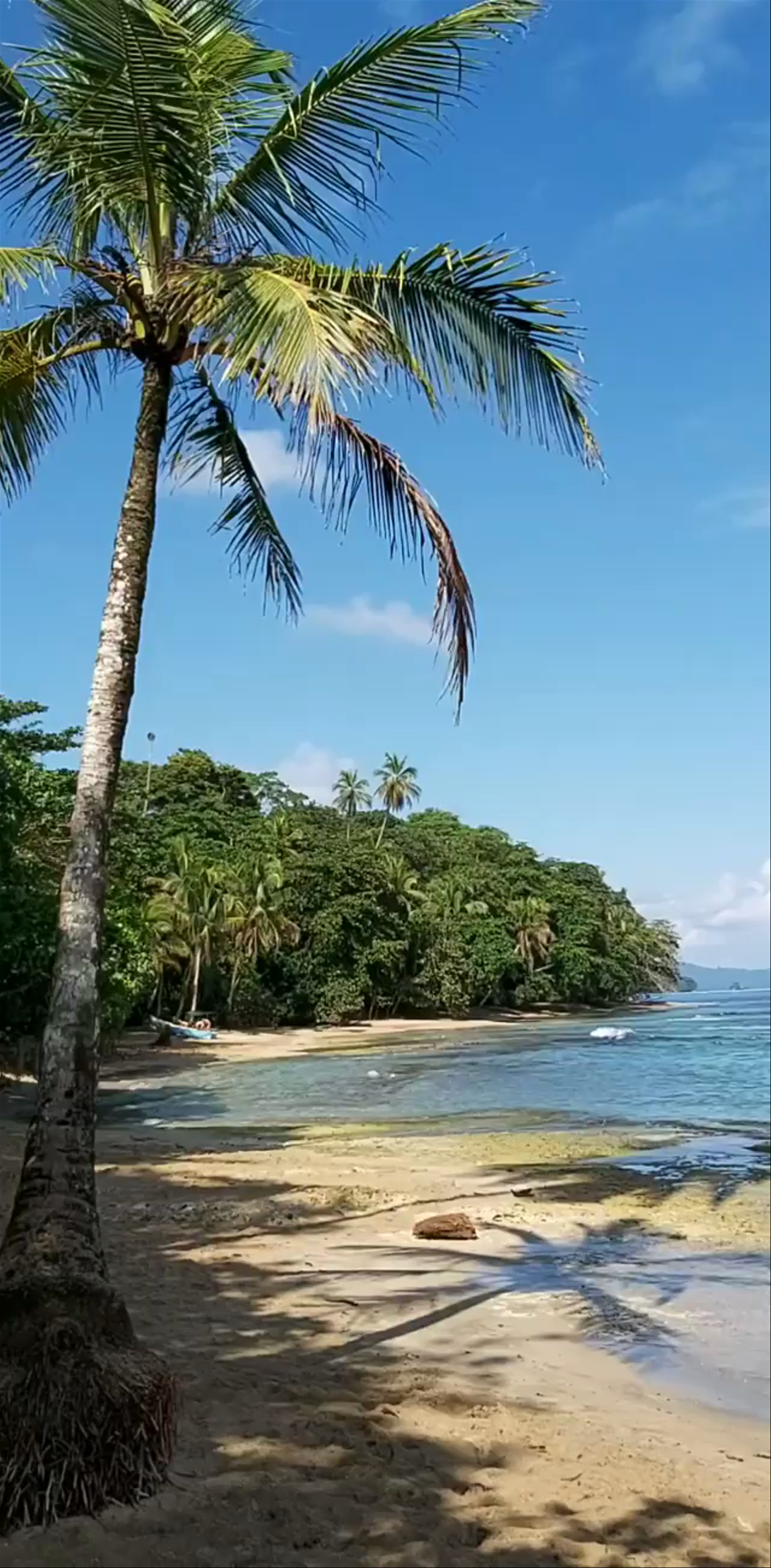 Playa Puerto Viejo