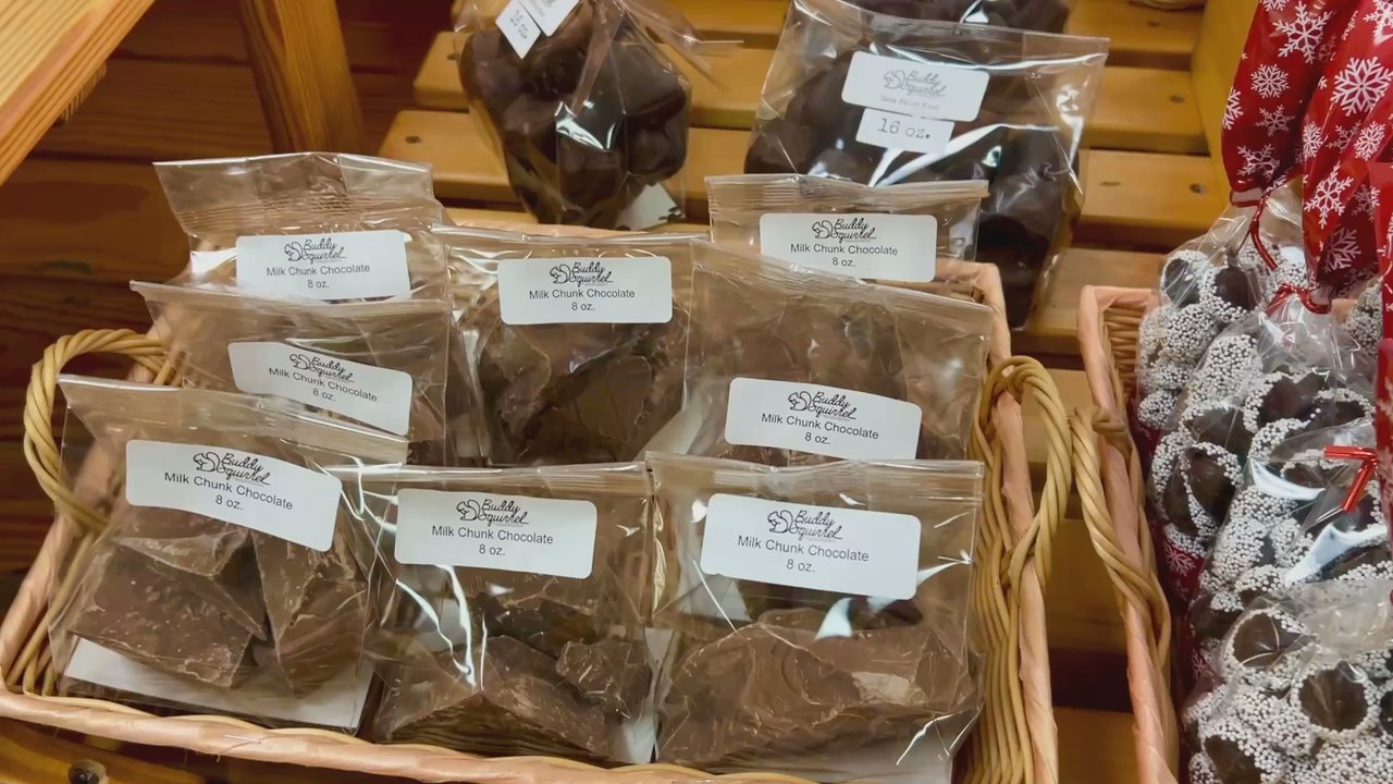 Buddy Squirrel - Popcorn Shops Near Me - Saint Francis, Wisconsin