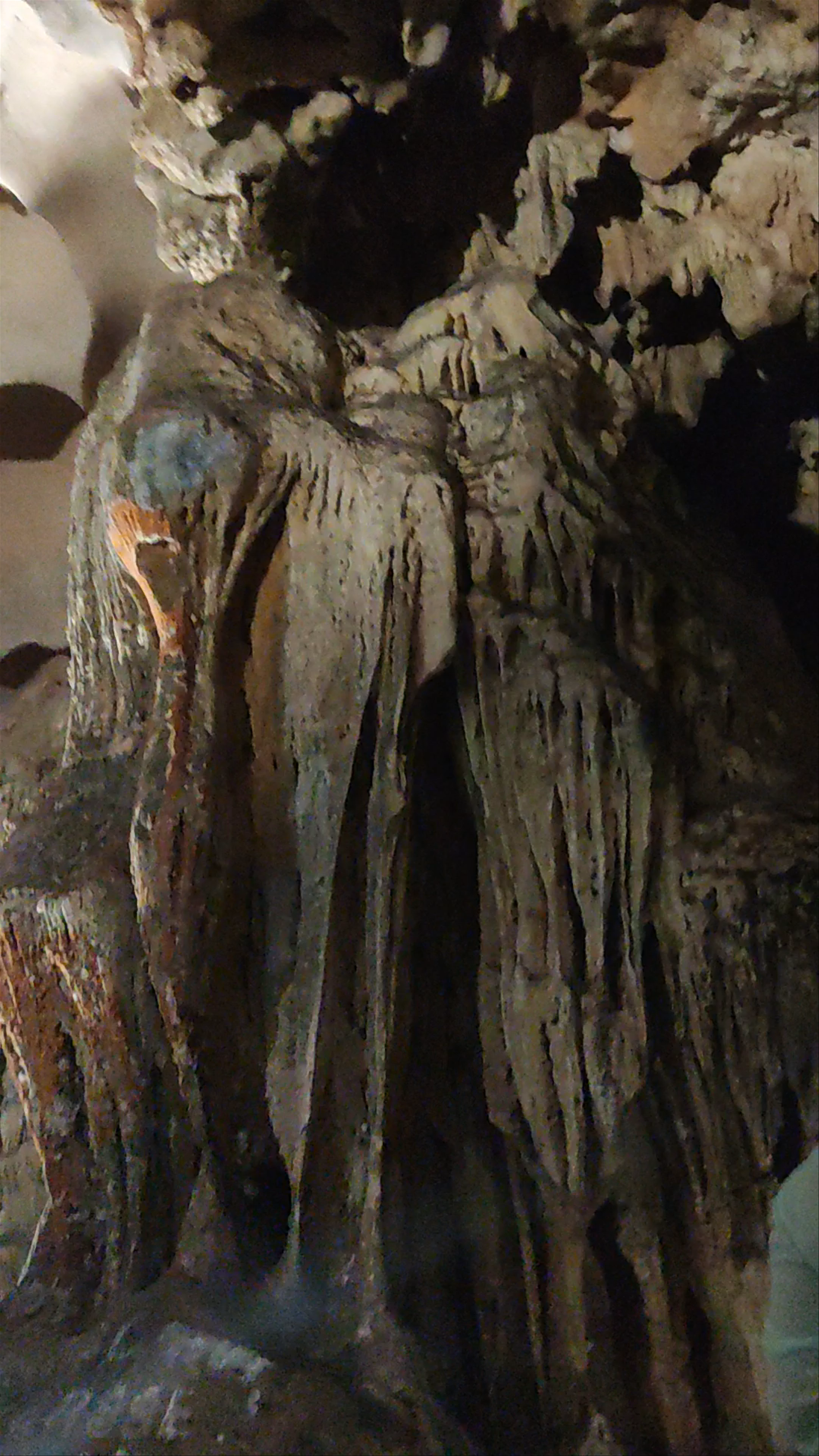 Trung Trang Cave: Mystical Limestone Wonders in Cat Ba, Vietnam