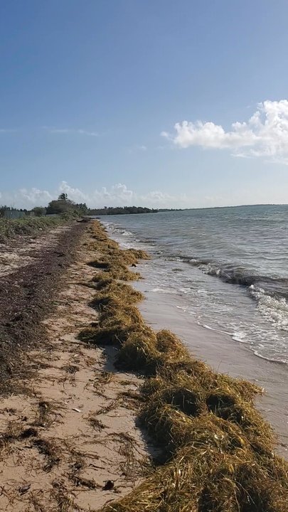 Geiger Beach - Beaches Near Me