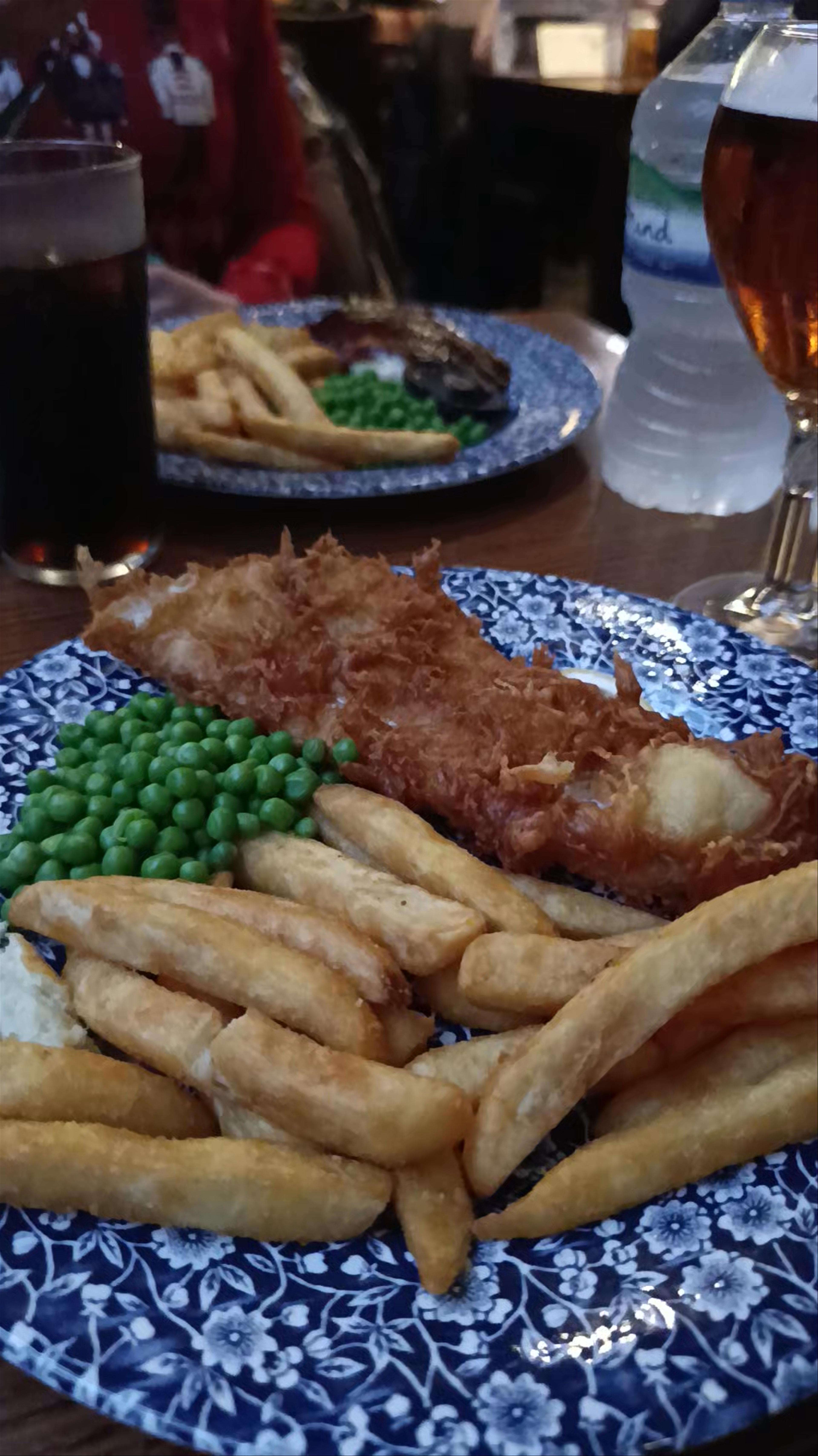 Authentic British Pub Meal at The Briar Rose, Birmingham