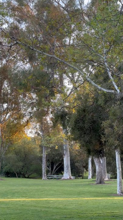 Turtle Rock Nature Center - Parks Near Me - Irvine, California