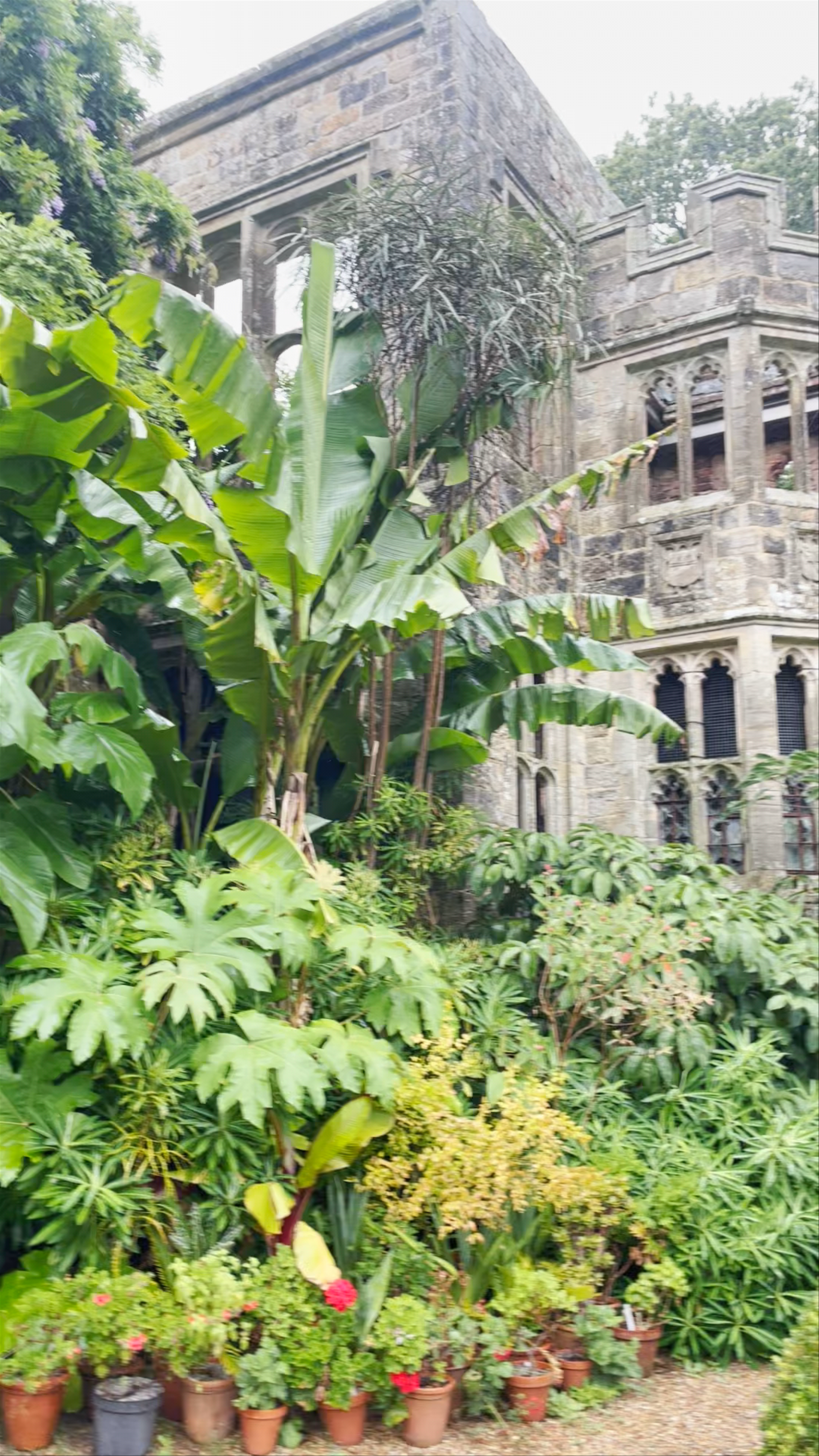 Nymans Gardens: A Lush Gothic Escape in Haywards Heath