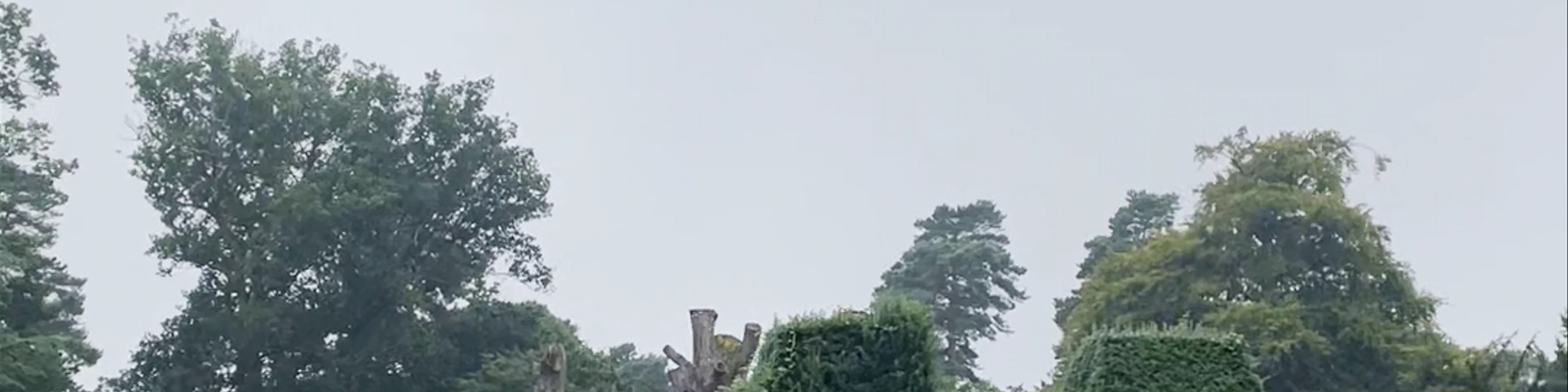 Nymans