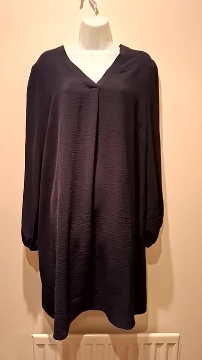 Wallace V Neck Shift Dress image 1
